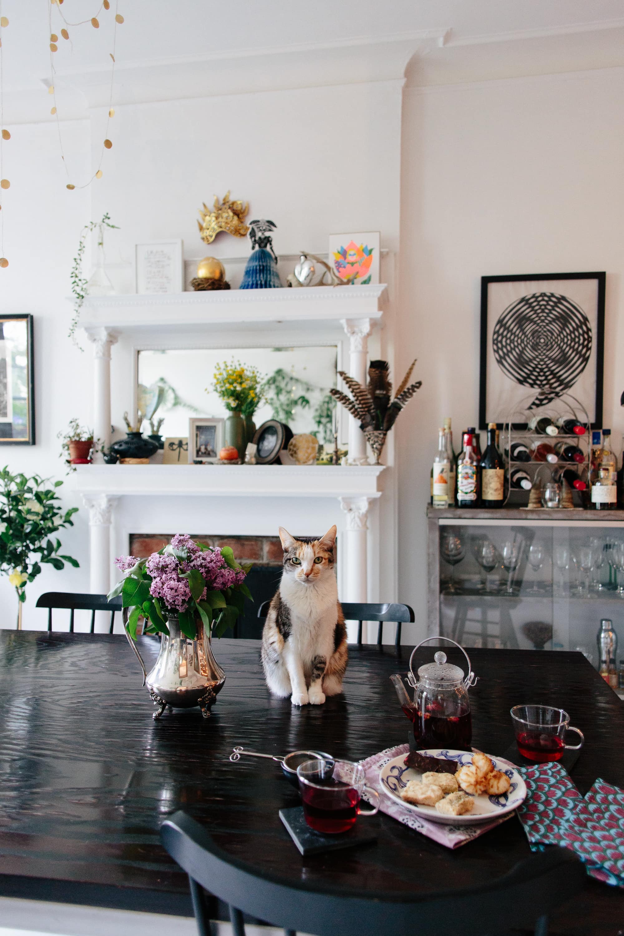 Tips for Keeping Cats Off Kitchen Counters Apartment Therapy