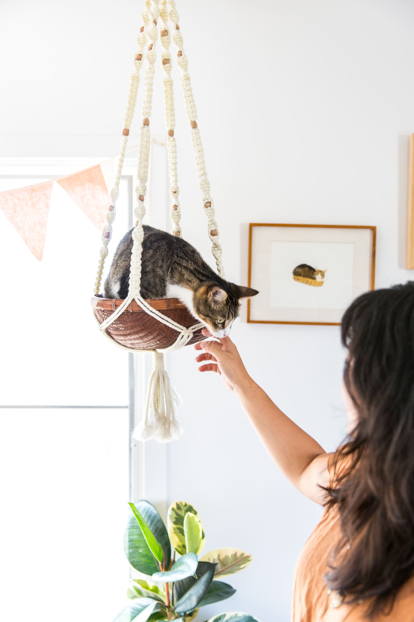 Tips for Keeping Cats Off Kitchen Counters Apartment Therapy