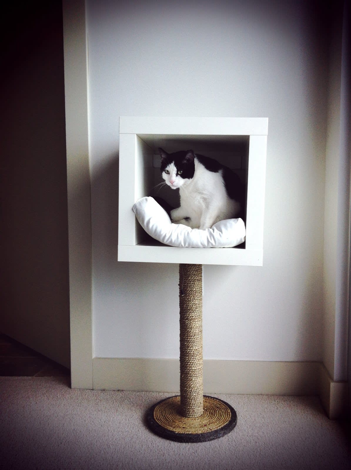 7 IKEA Hacks Your Cats Will Love Apartment Therapy