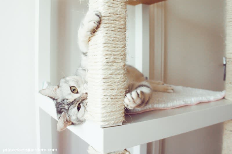 ikea cat doll