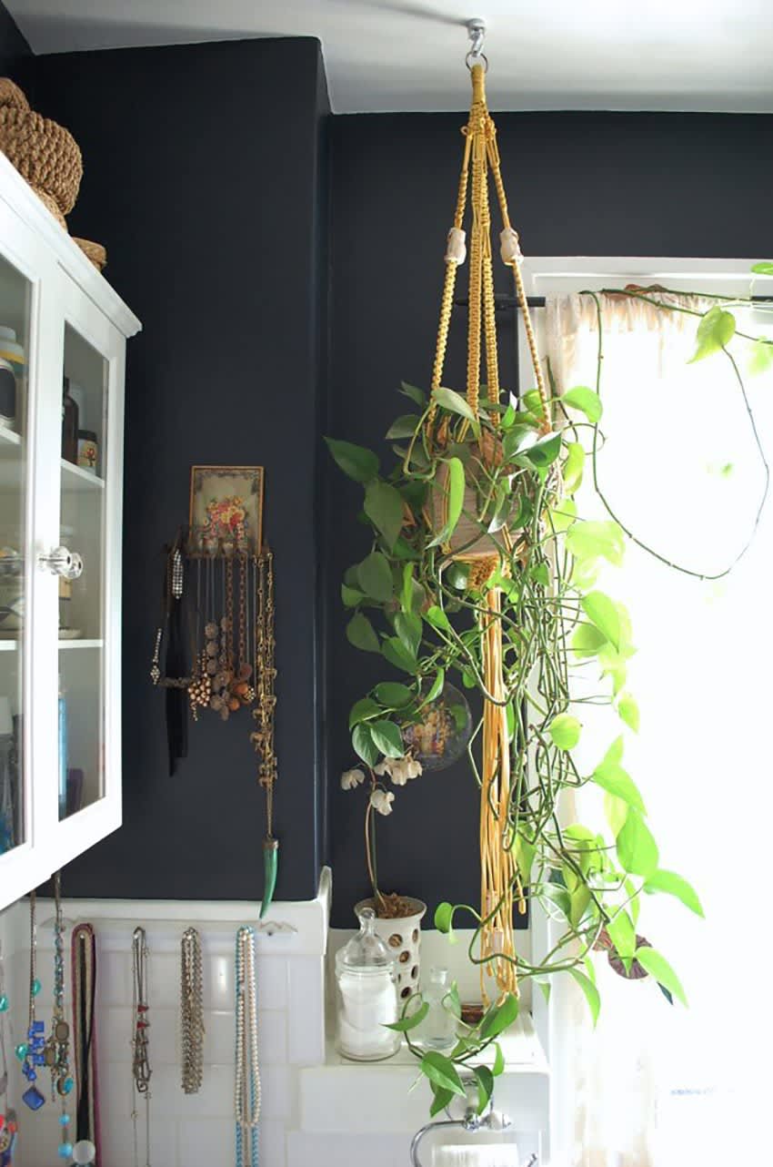 Beautiful Oversized Hanging Plants Apartment Therapy