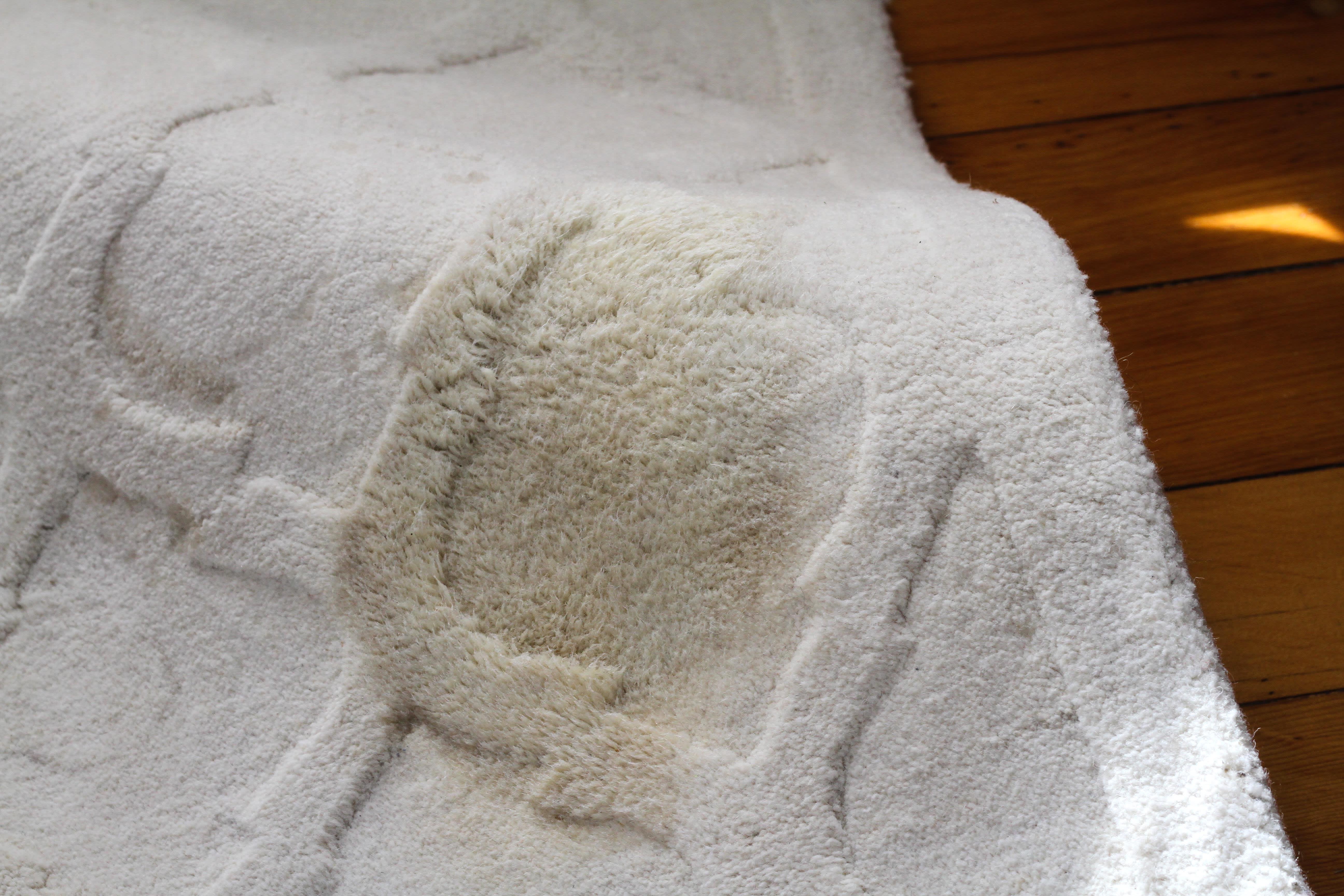 How To Whiten Yellowed or Bleached Wool Apartment Therapy