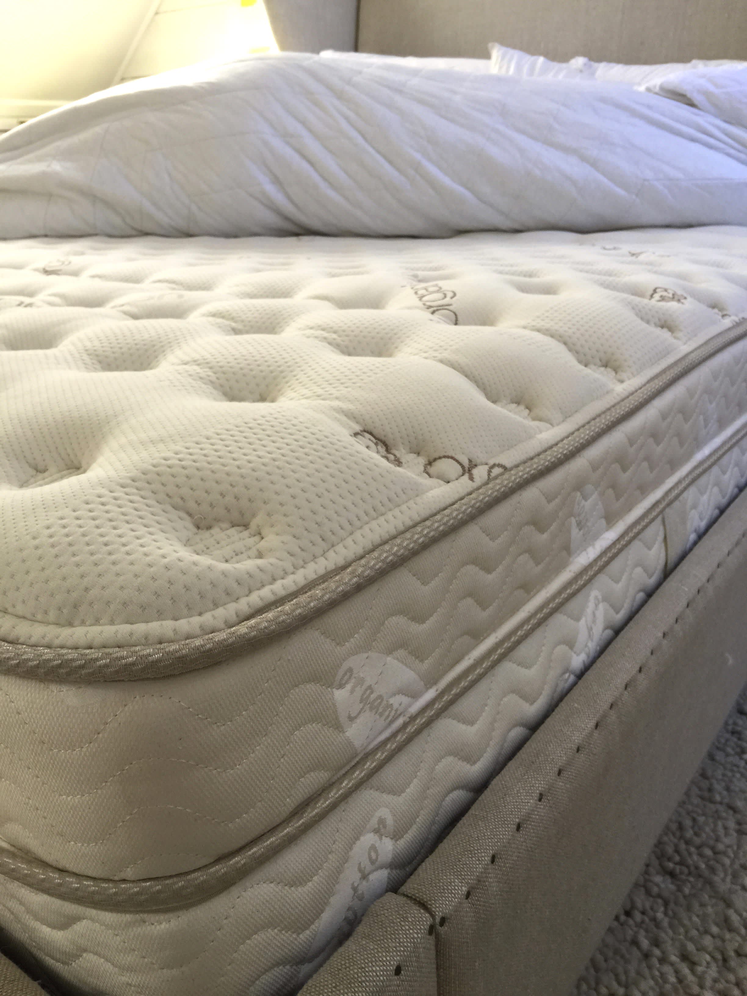 Review Saatva Luxury Firm Mattress Apartment Therapy