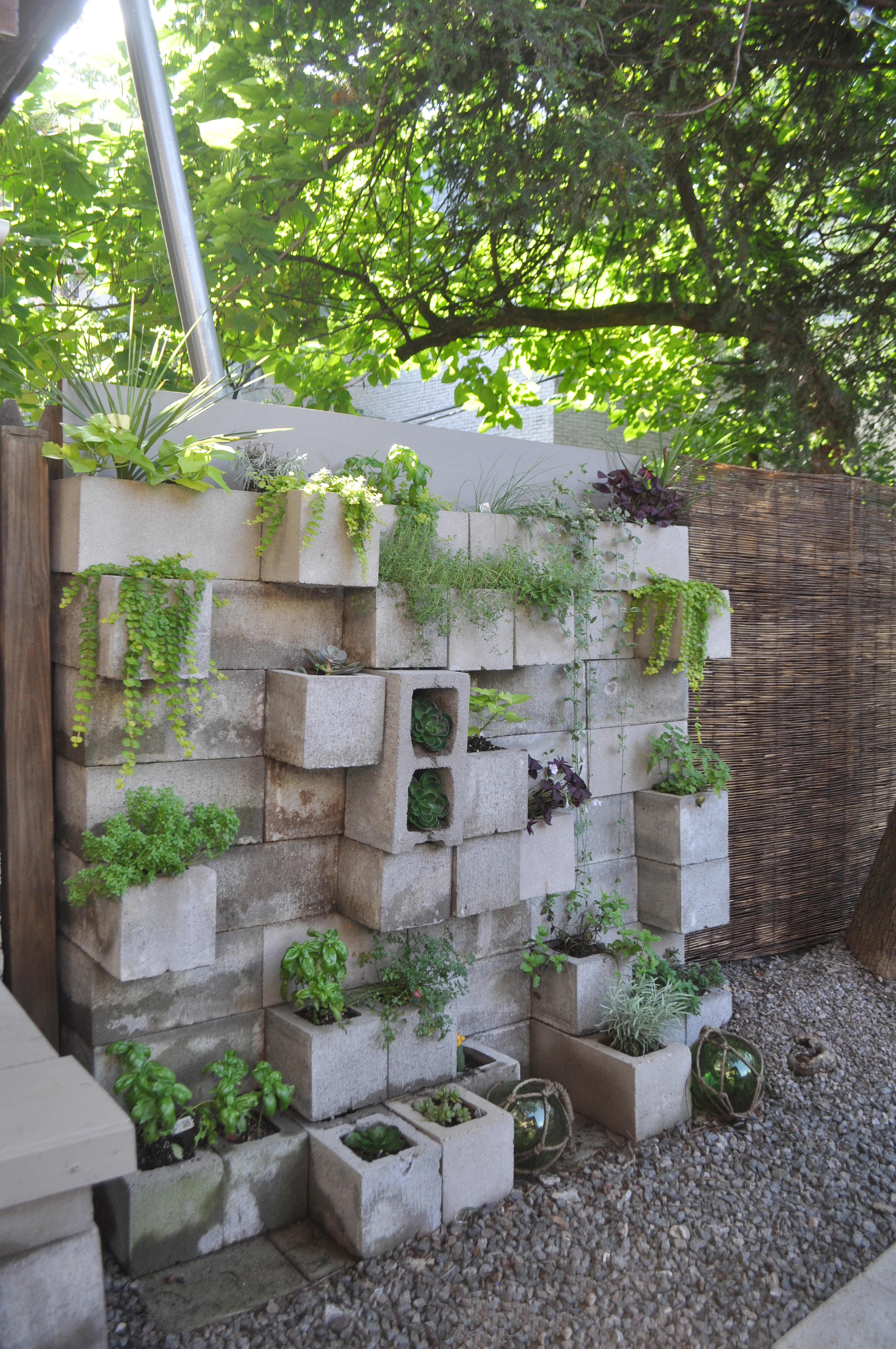 Minimalist Vertical Garden For Apartment With Luxury Interior