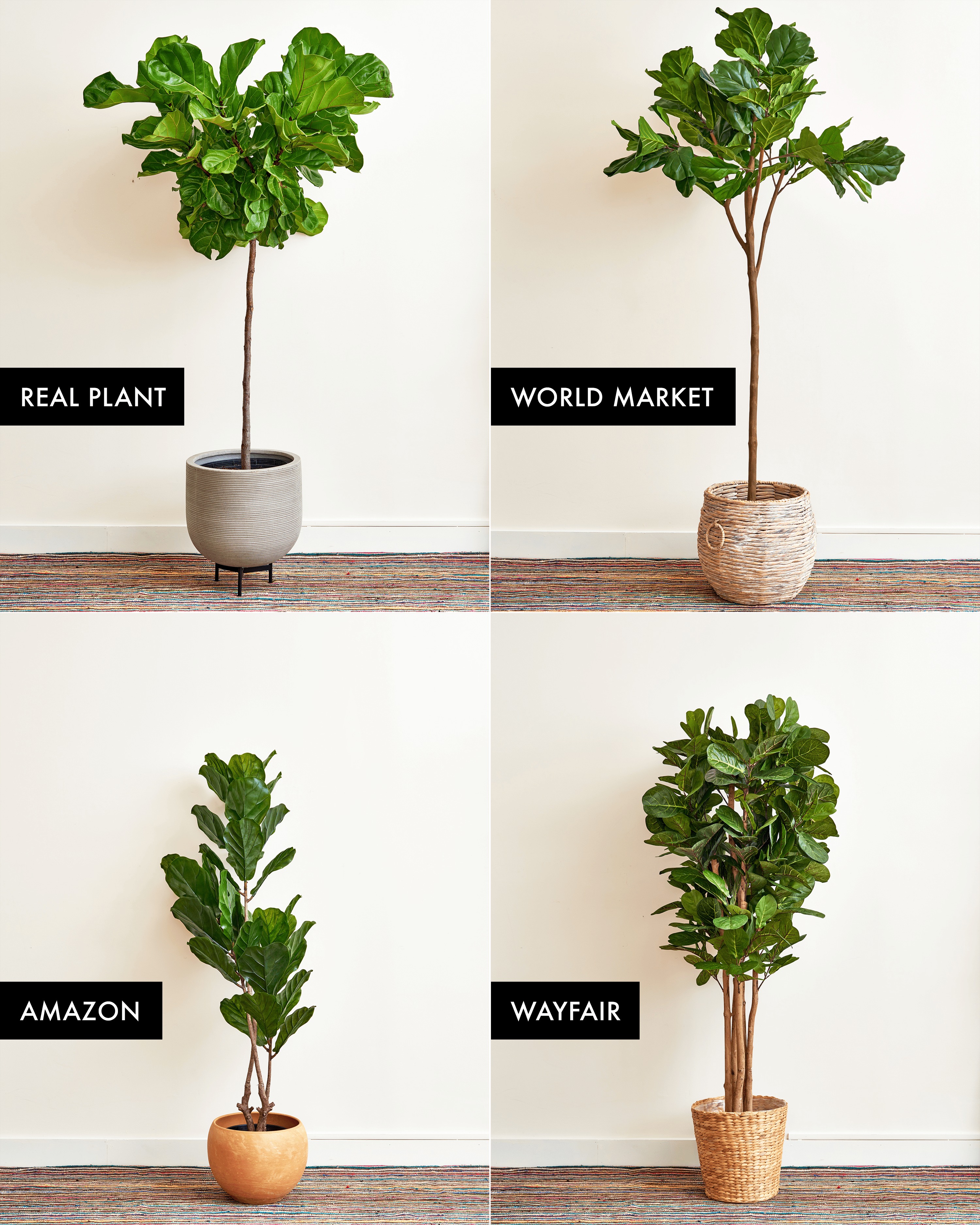 We Ordered a Bunch of Faux Fiddle Leaf Fig Trees & This One is the Best