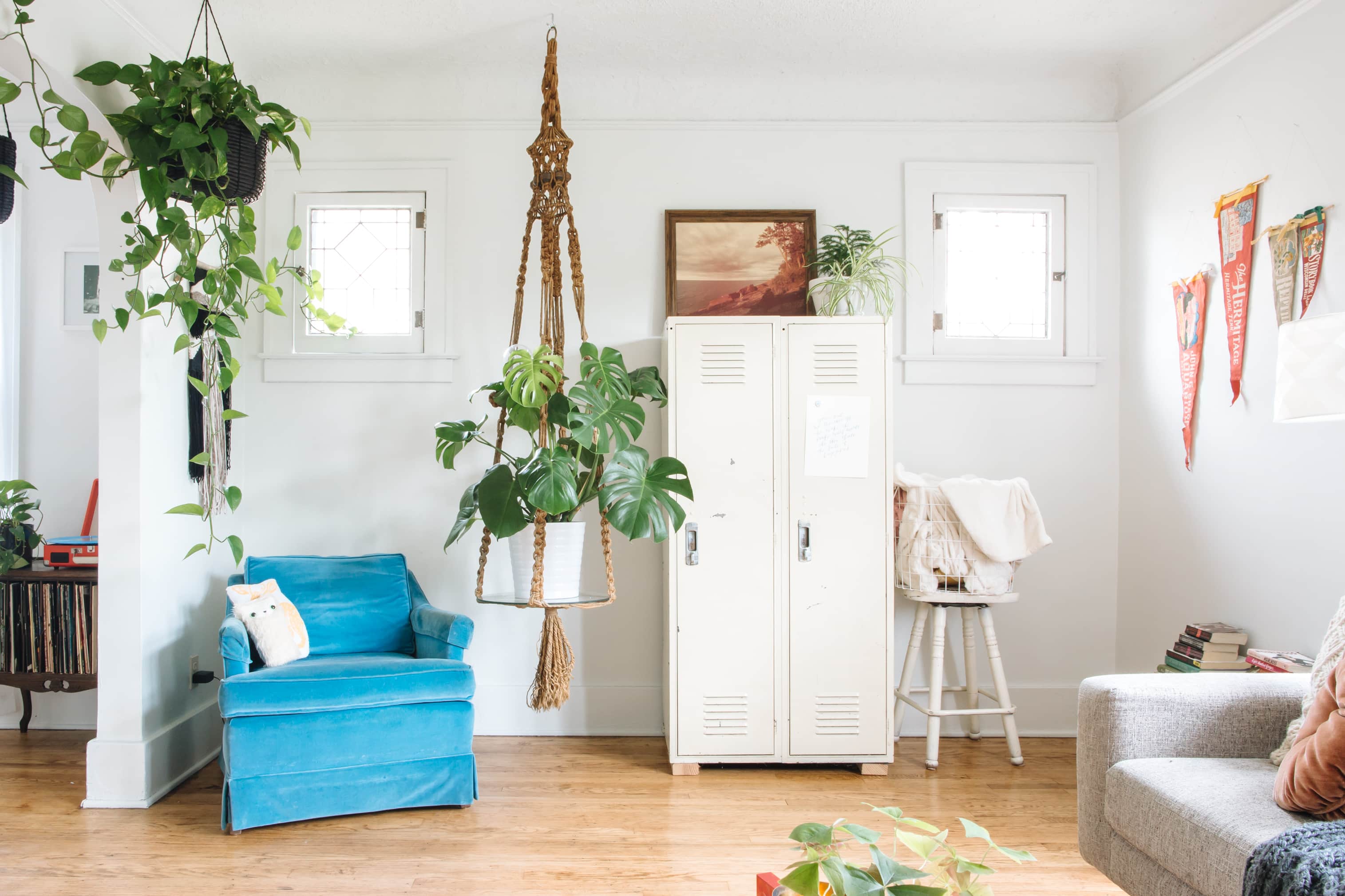 Hanging Plants Best Indoor Types, Ideas Apartment Therapy