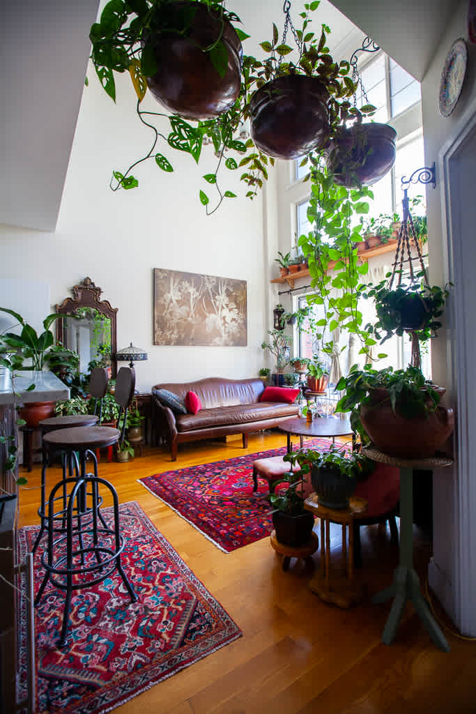 Picture of Plant-Filled Brooklyn Apartment Tour Photos | Apartment Therapy