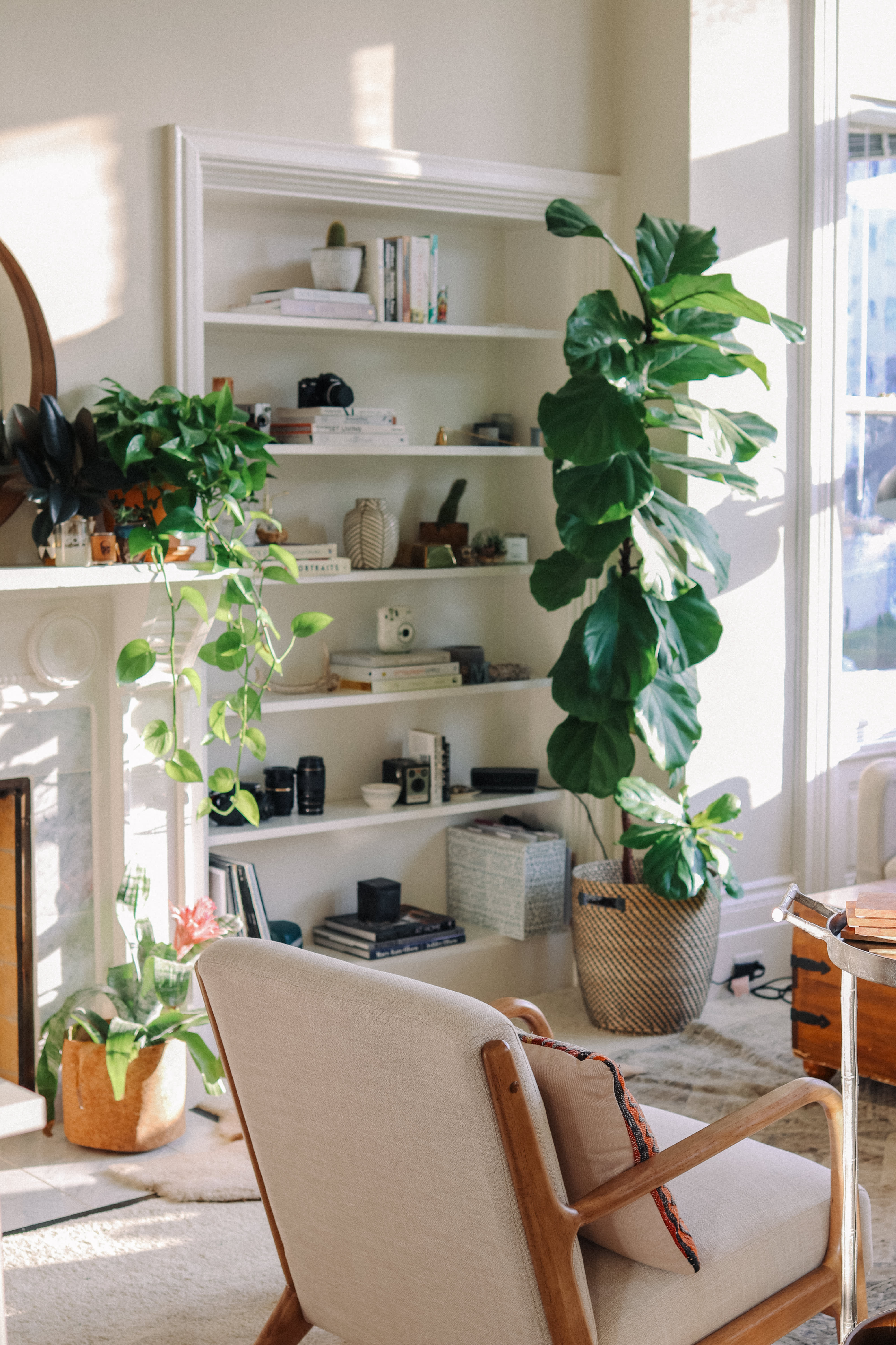 Plant Filled Simple Chic Studio Apartment Decor Photos Apartment Therapy