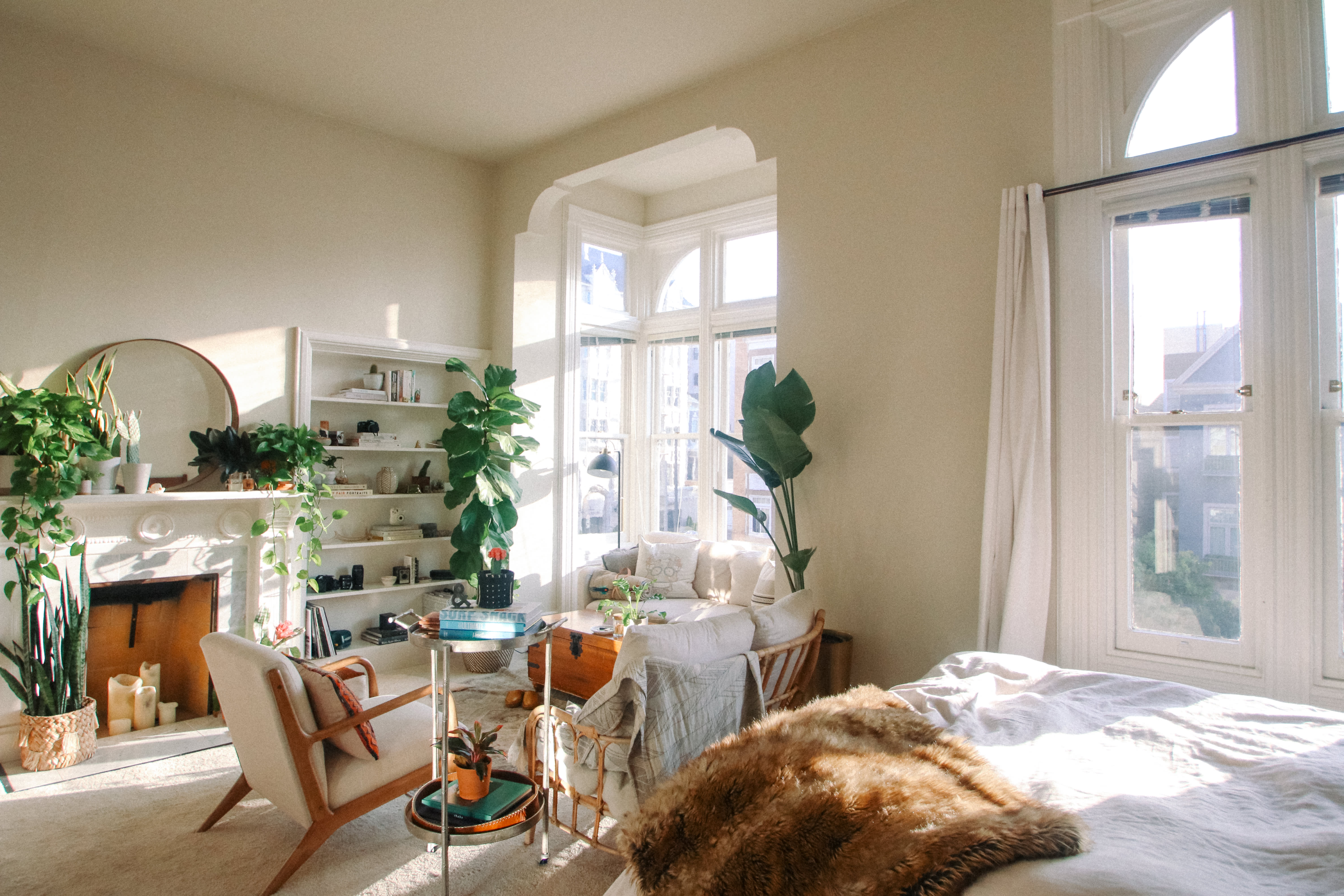 Plant Filled Simple Chic Studio Apartment Decor Photos Apartment Therapy