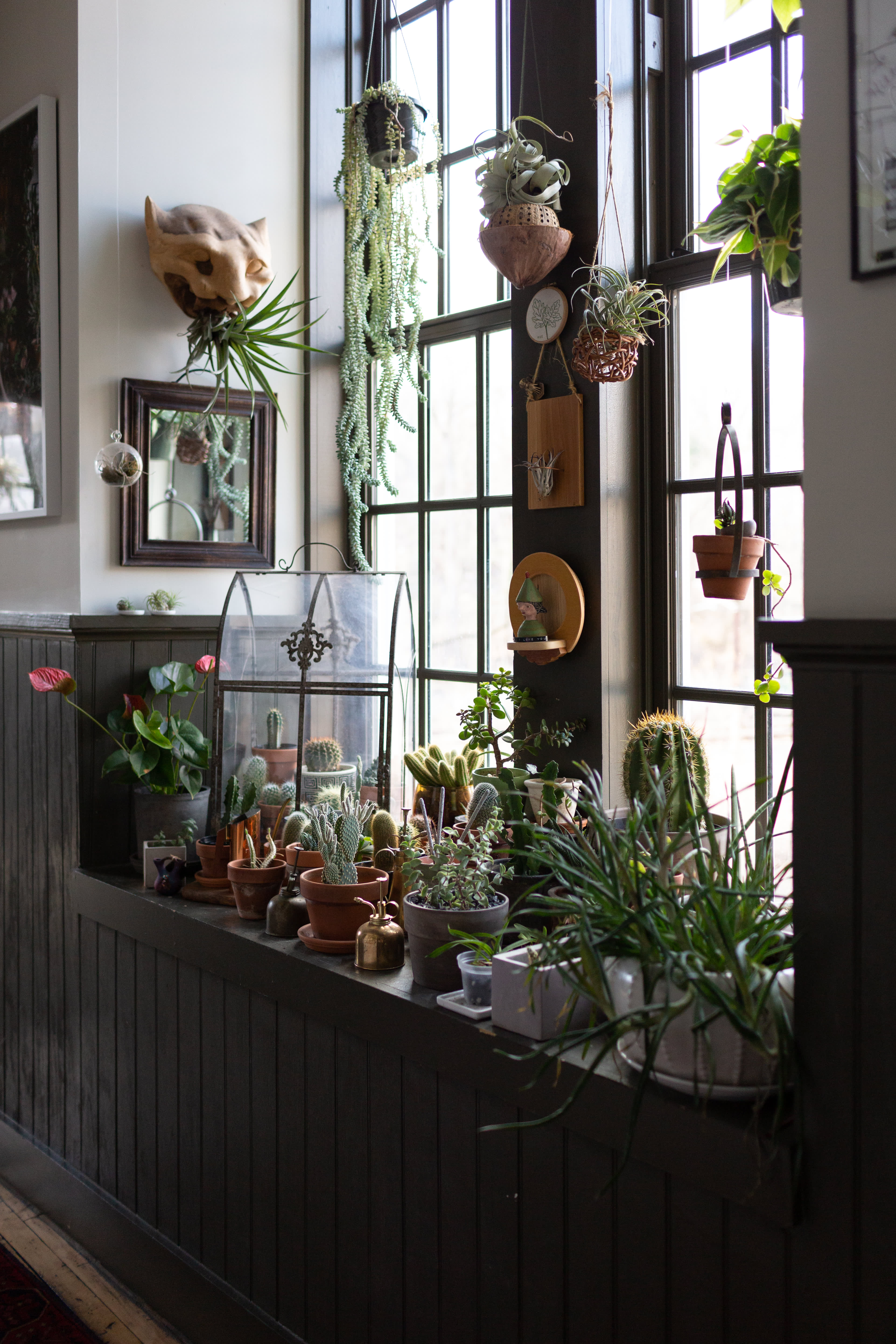 Hilton Carter Plant Doctor Industrial Loft Home Photos Apartment Therapy