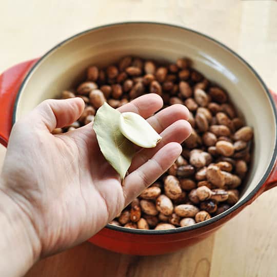 How To Cook Beans on the Stove Kitchn