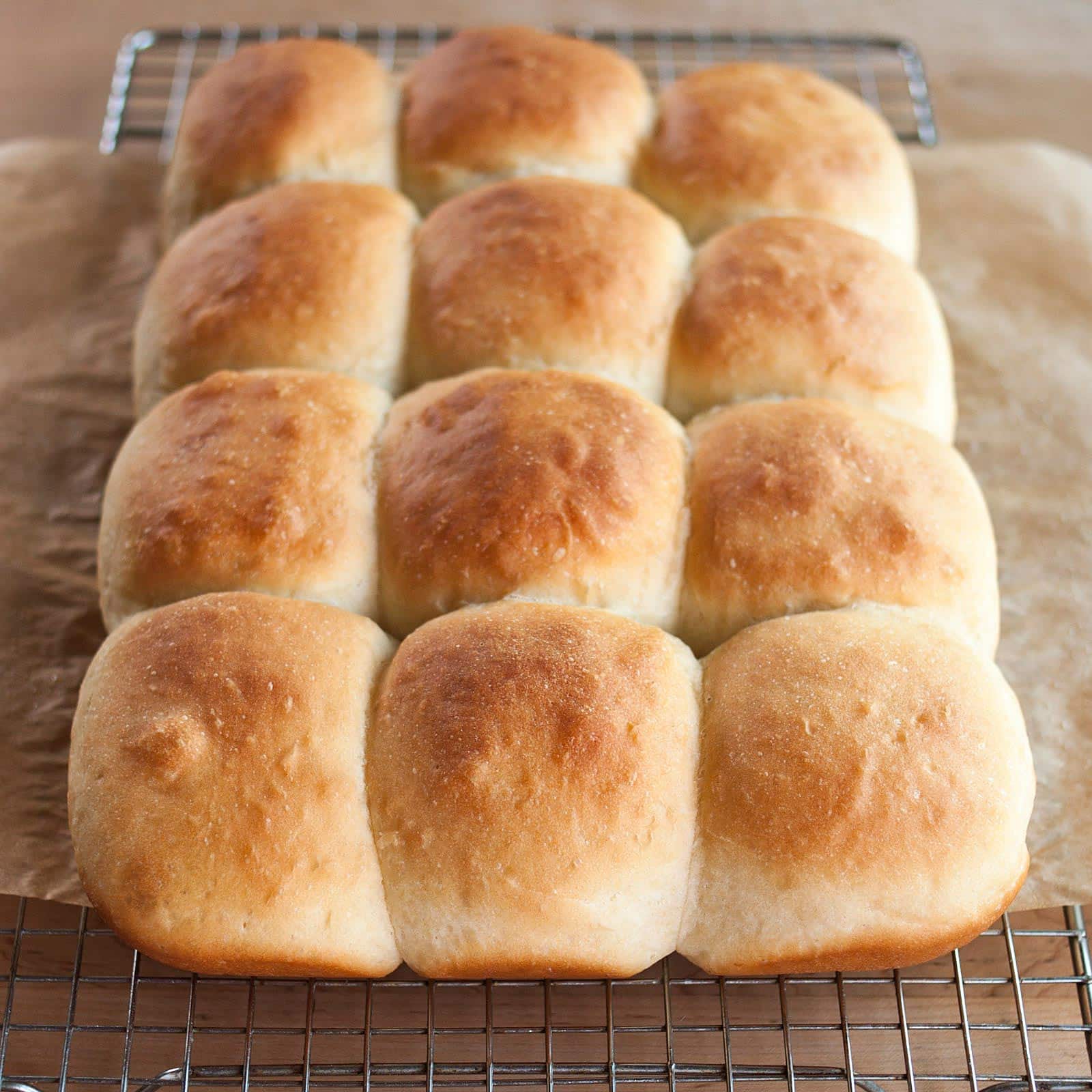 How To Make Soft And Tender Dinner Rolls Kitchn