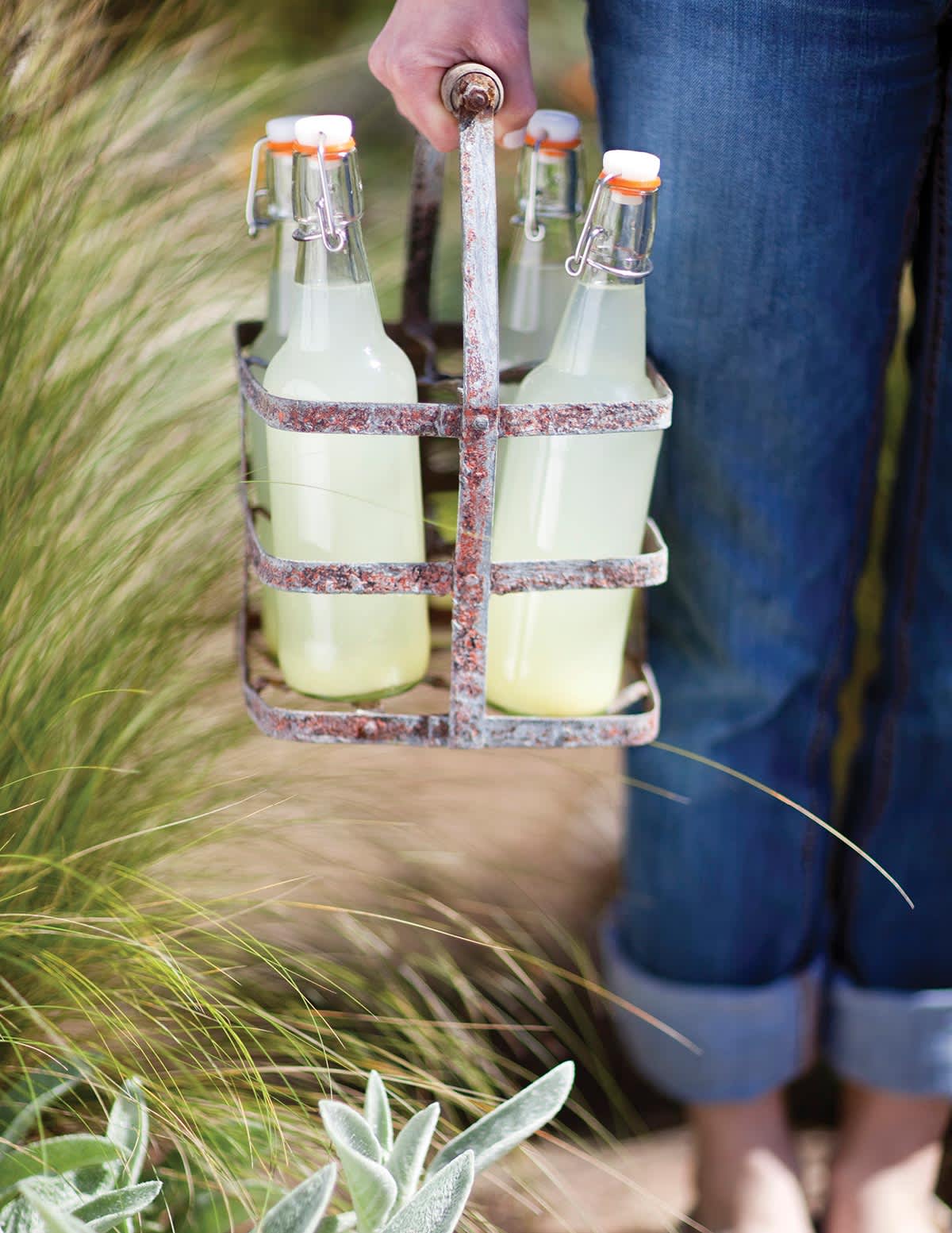 Soda Recipe Homemade Ginger Ale Kitchn