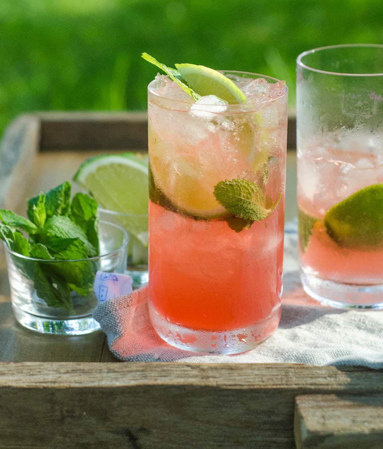 Summer Cocktail Recipe: Campari Mojito | Kitchn