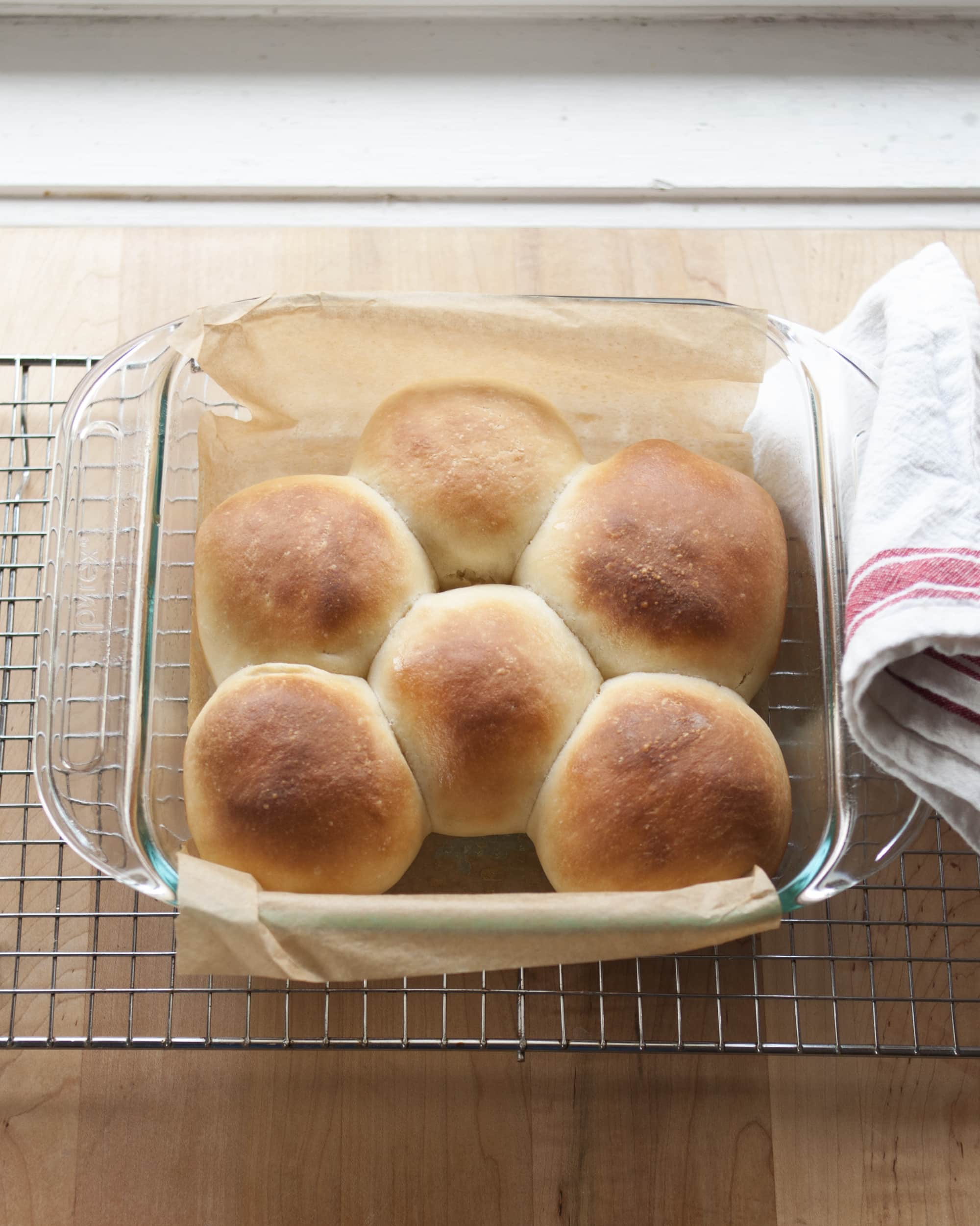 25+ Dinner Roll Dough Frozen Pics Sourdough Bread Starter