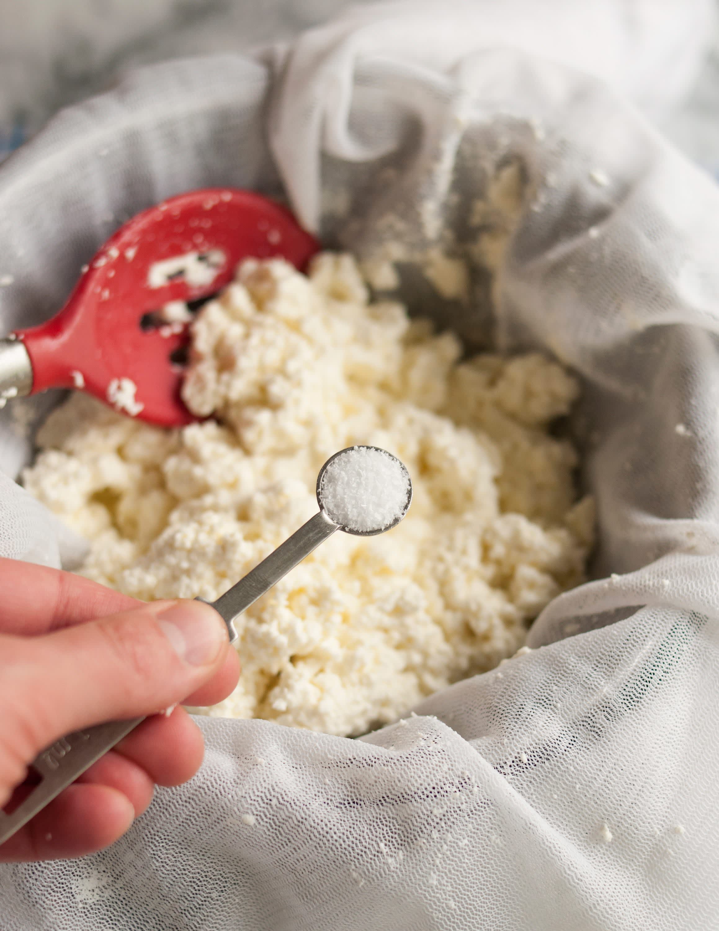 How To Make Paneer Cheese in 30 Minutes Kitchn