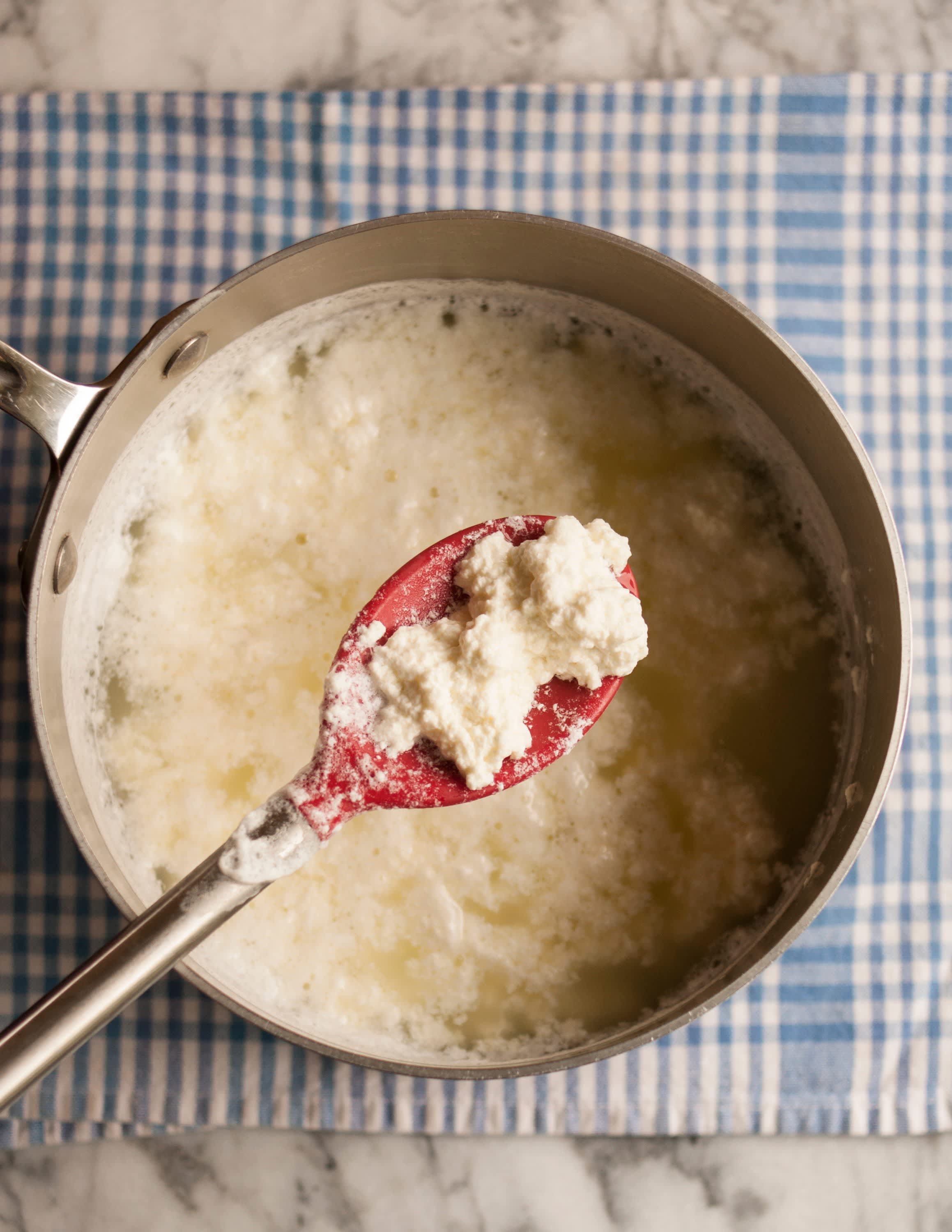 How To Make Paneer Cheese in 30 Minutes Kitchn