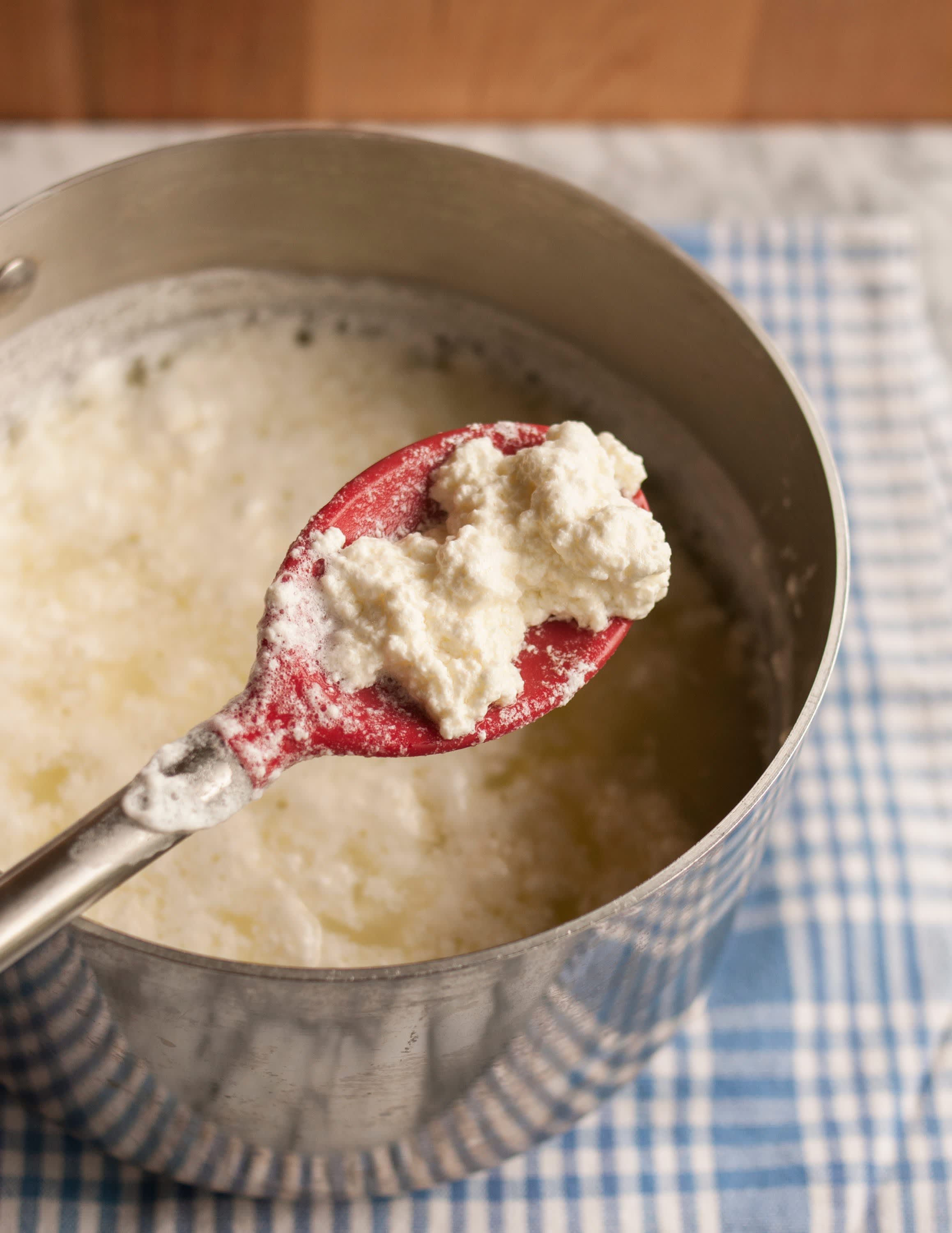 How To Make Paneer Cheese in 30 Minutes Kitchn