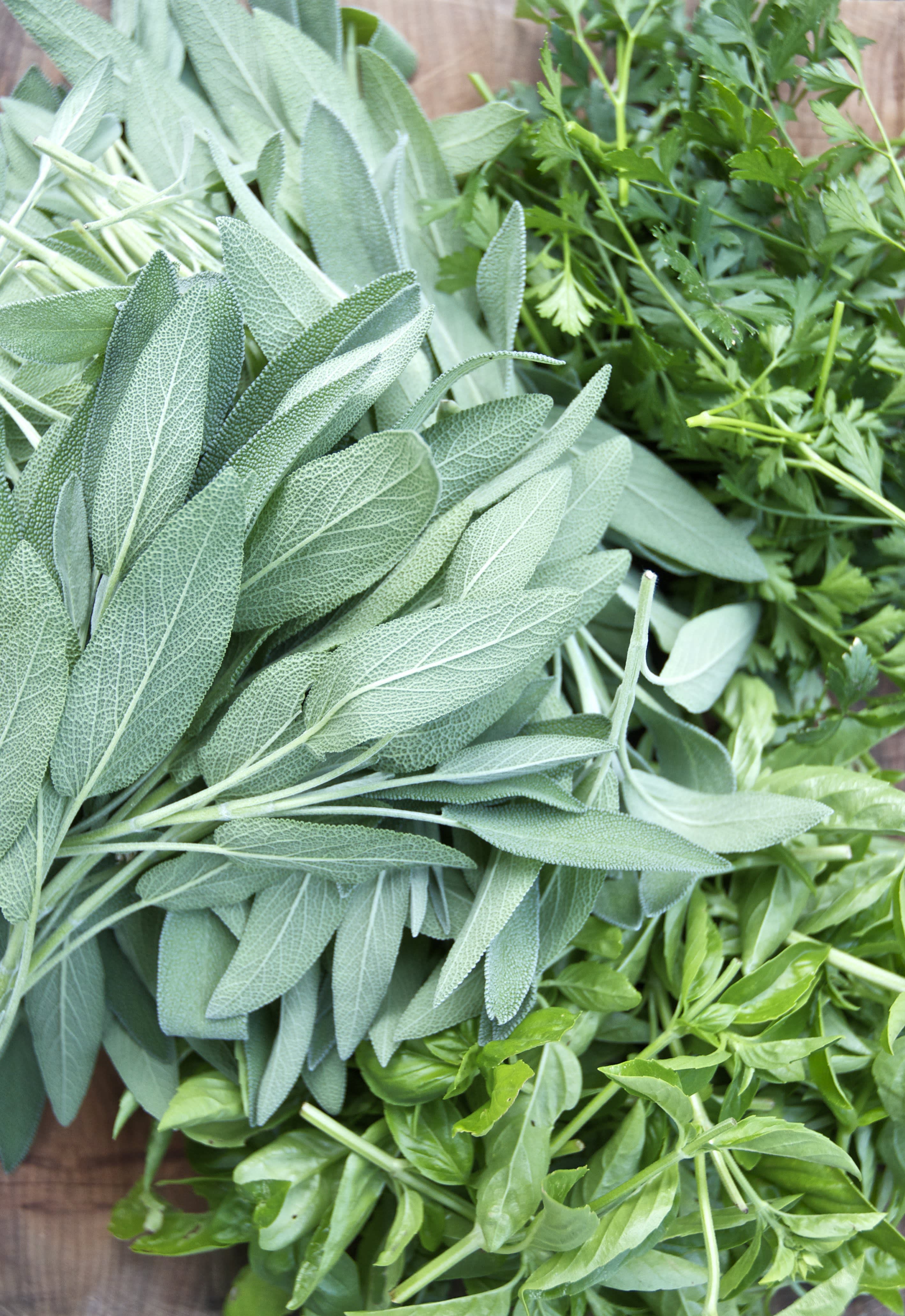 Tips for a Small-Space Kitchen Herb Garden | Kitchn