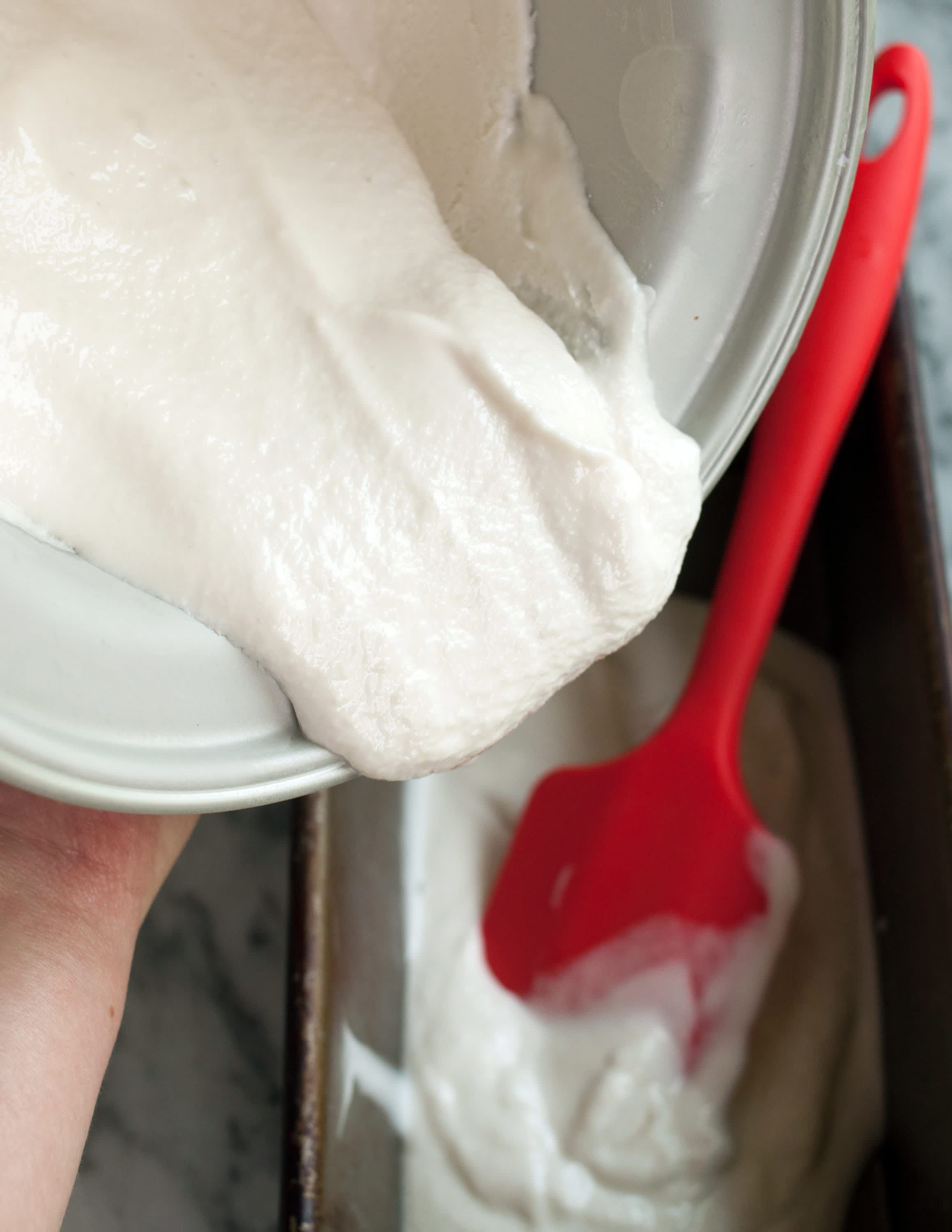 How To Make The Best DairyFree Vegan Ice Cream Kitchn