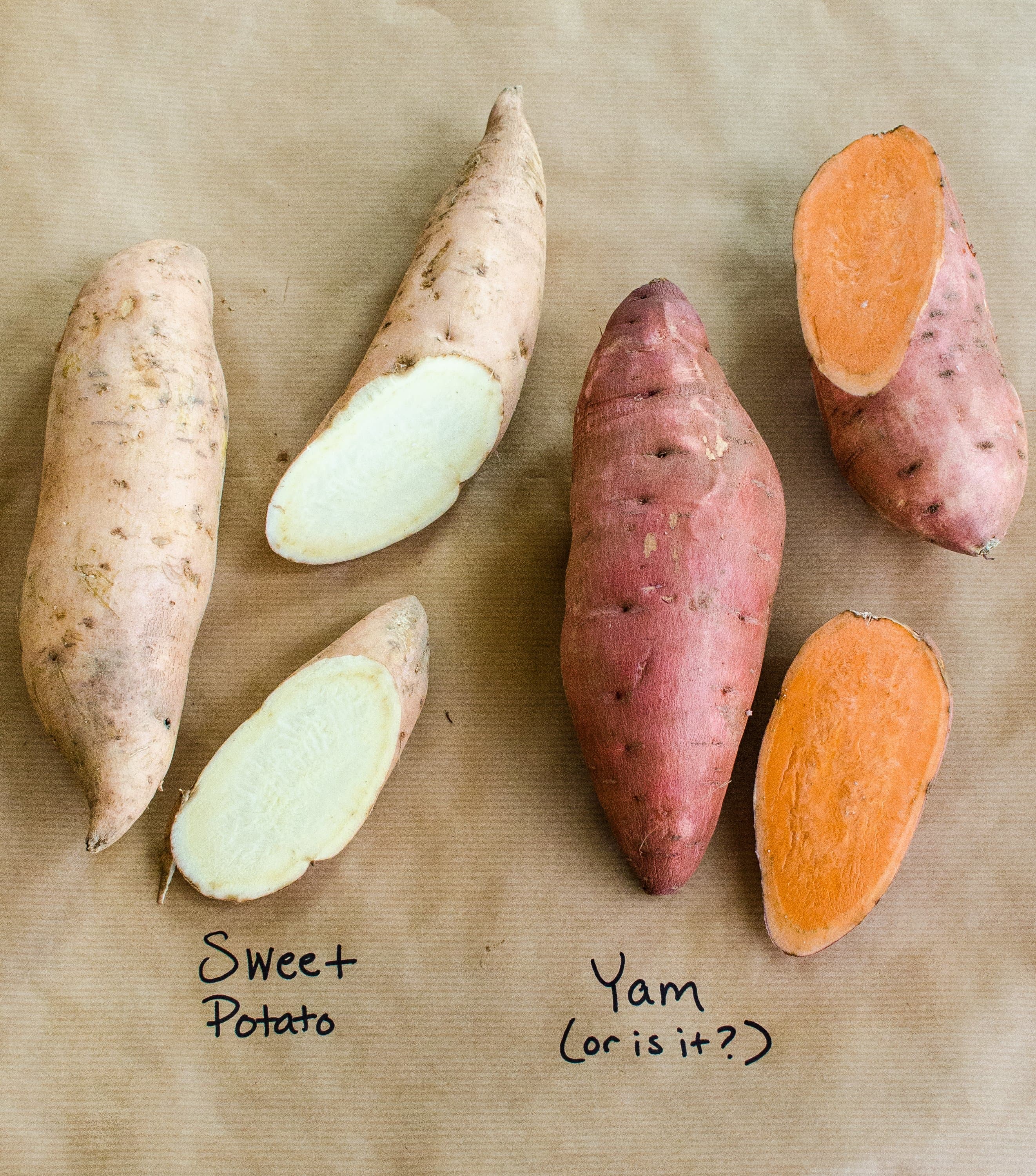 What s The Difference Between Yams And Sweet Potatoes Kitchn