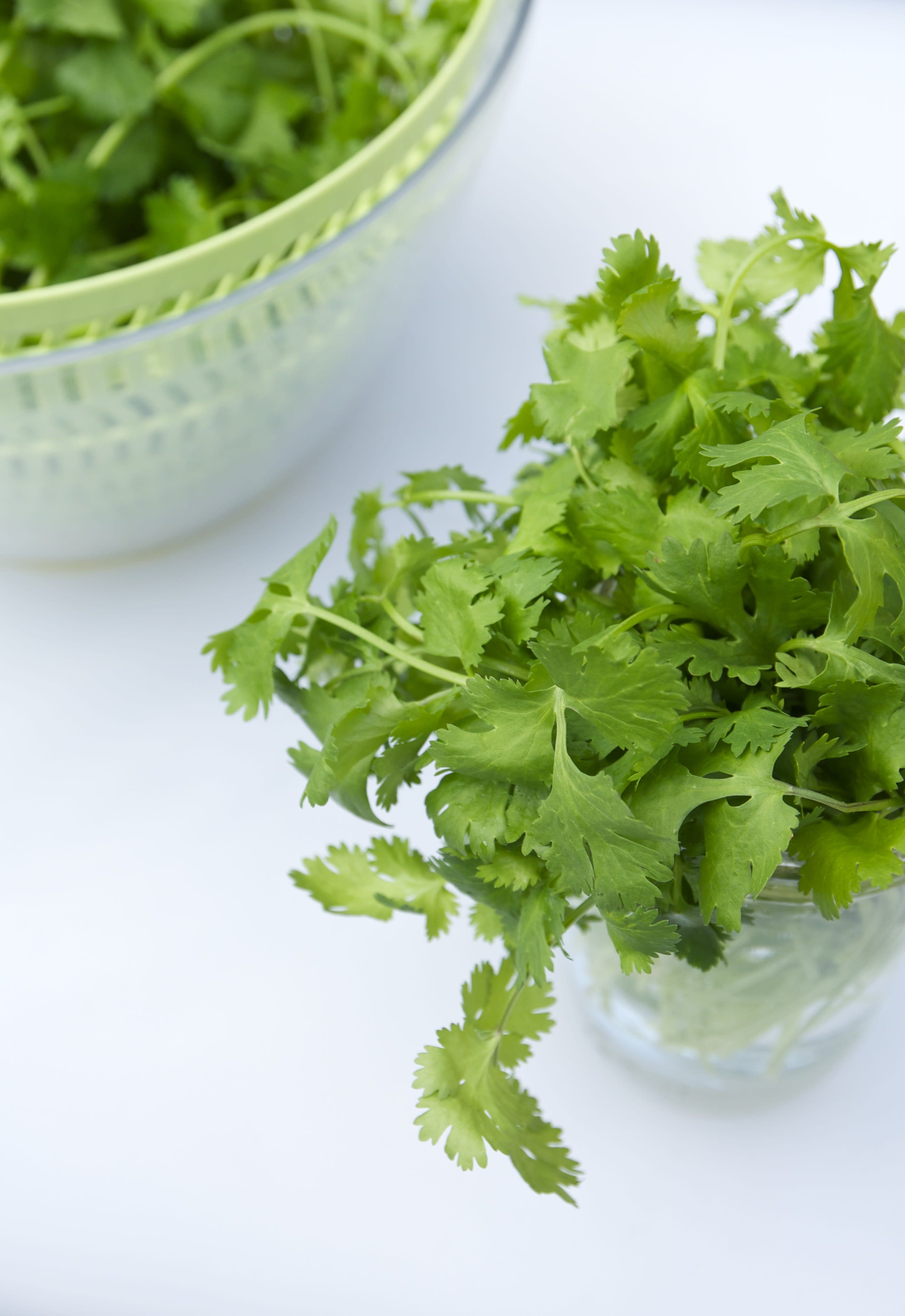 Everything You Need to Know About Growing Cilantro Kitchn