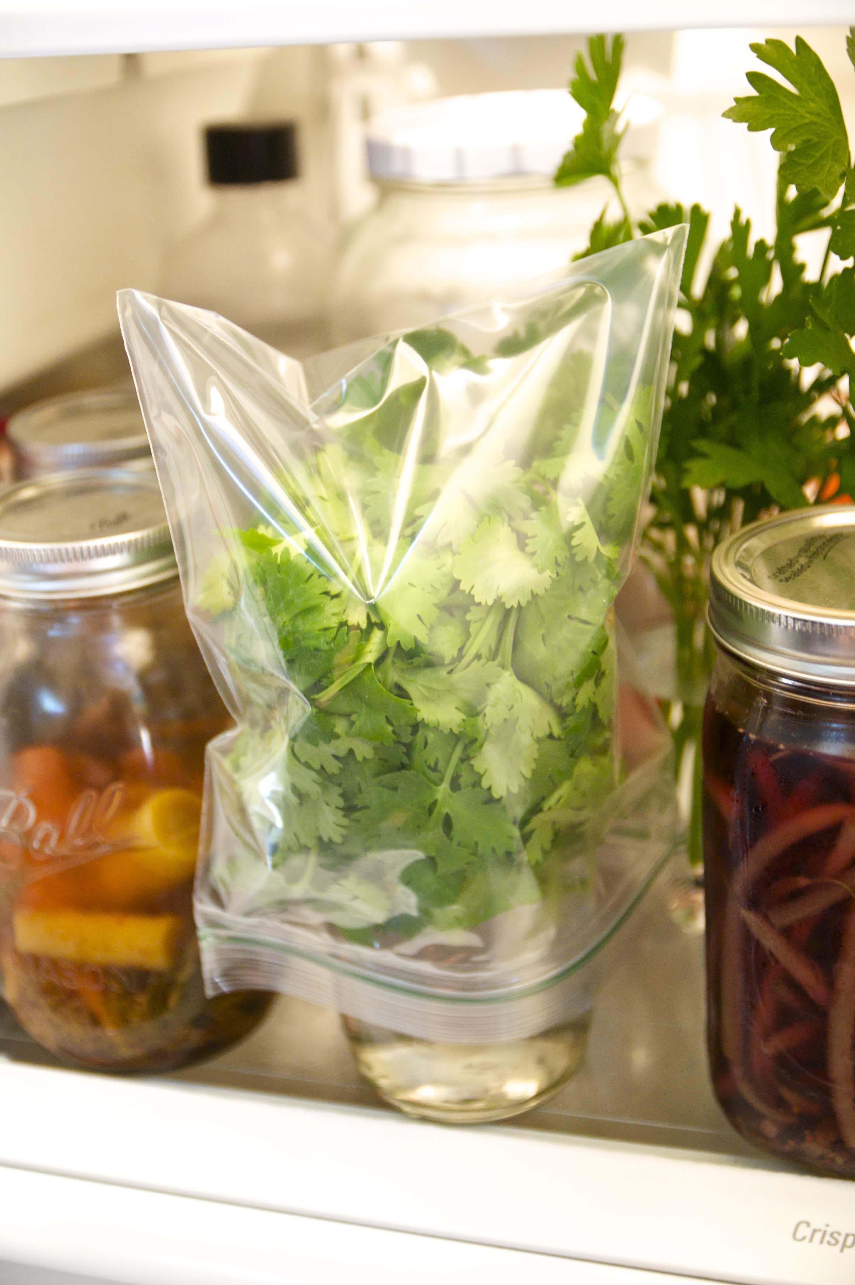 Why Freezing Is the Best Way to Preserve Cilantro Kitchn