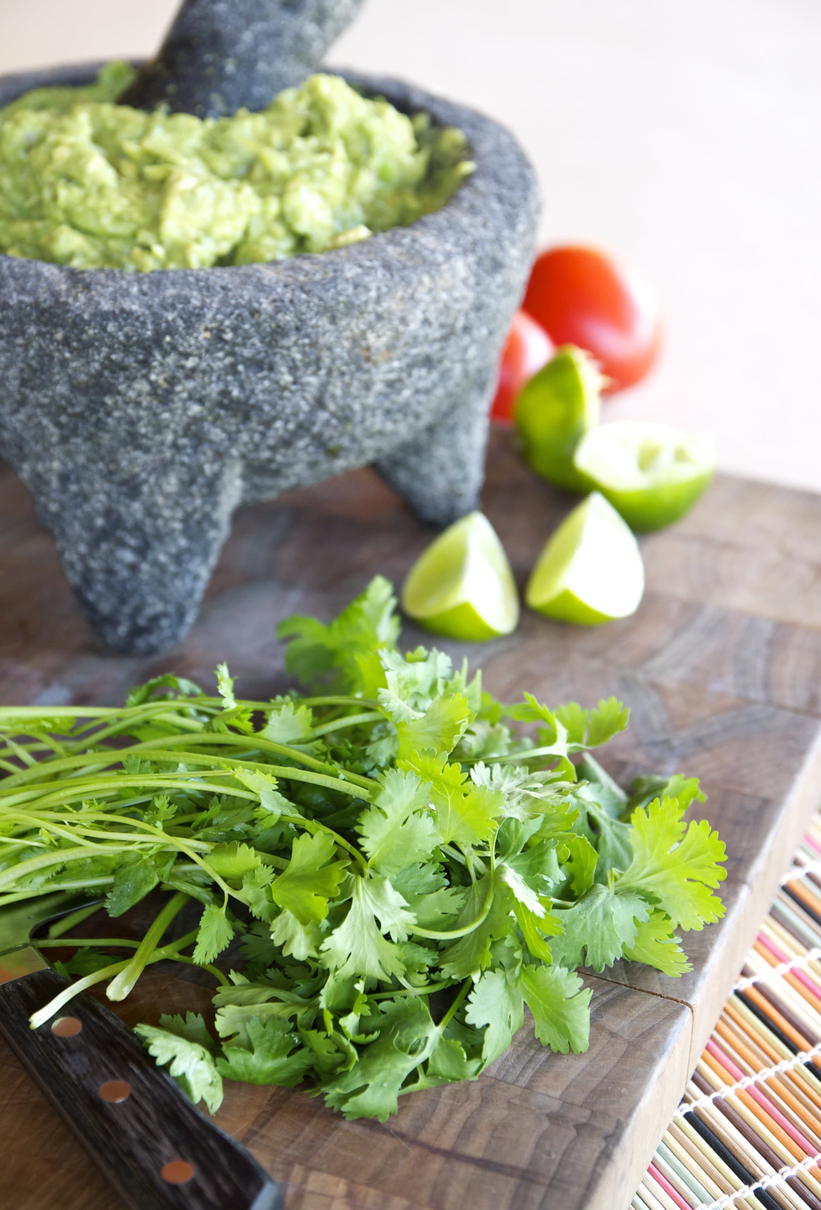 Everything You Need to Know About Growing Cilantro Kitchn