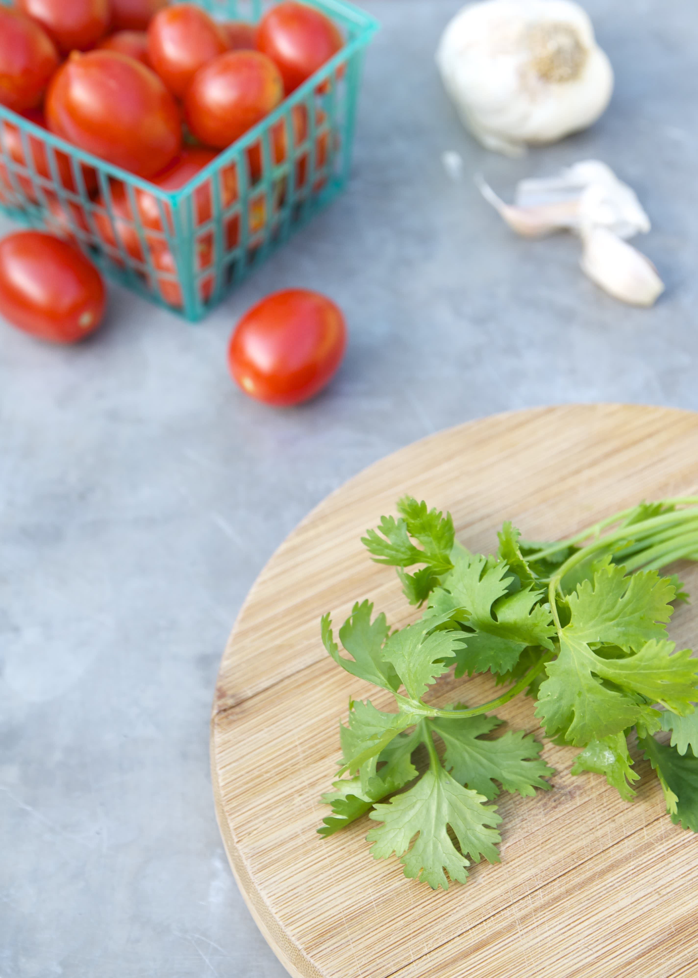 Everything You Need to Know About Growing Cilantro Kitchn