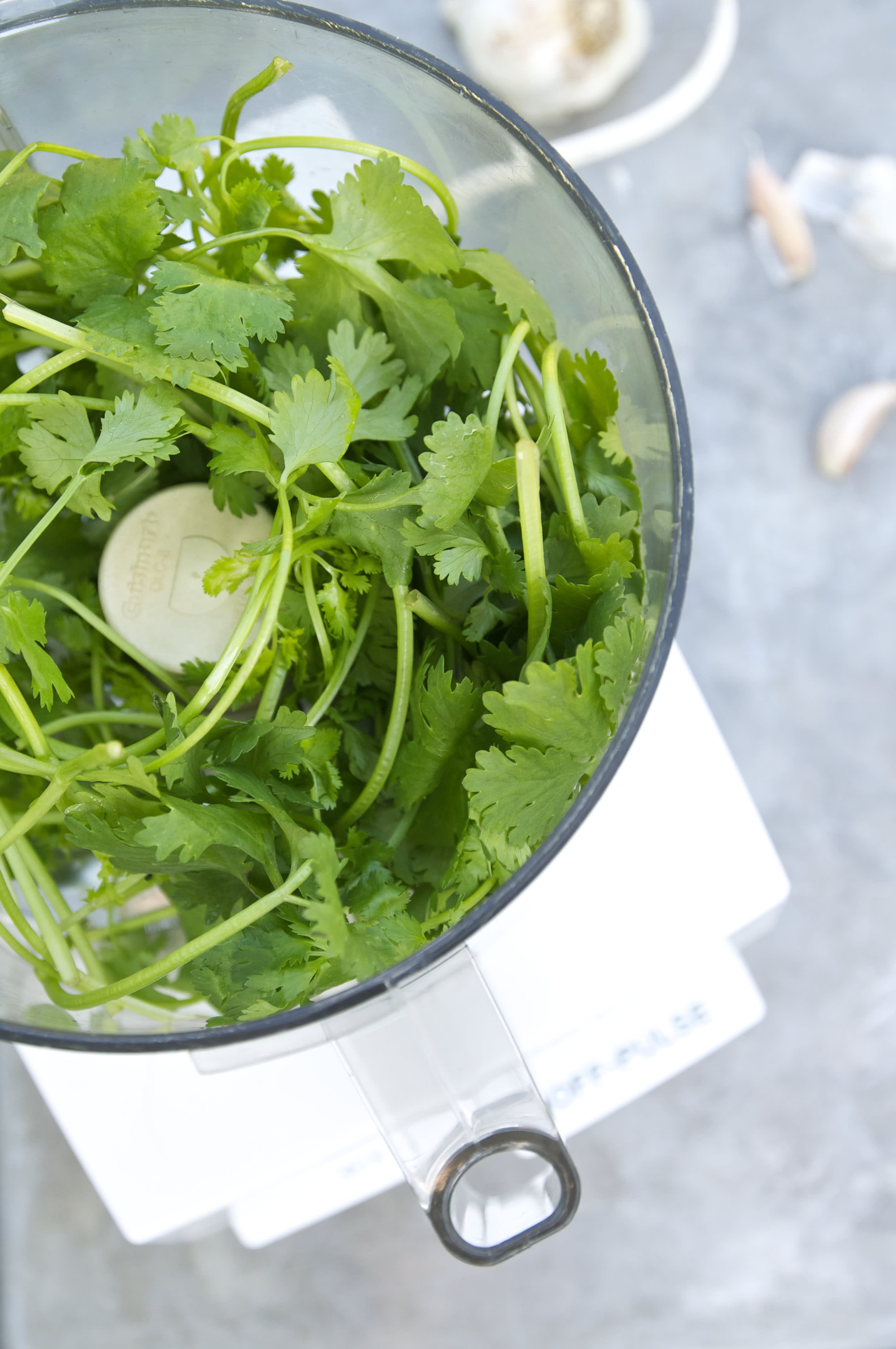Why Freezing Is the Best Way to Preserve Cilantro Kitchn
