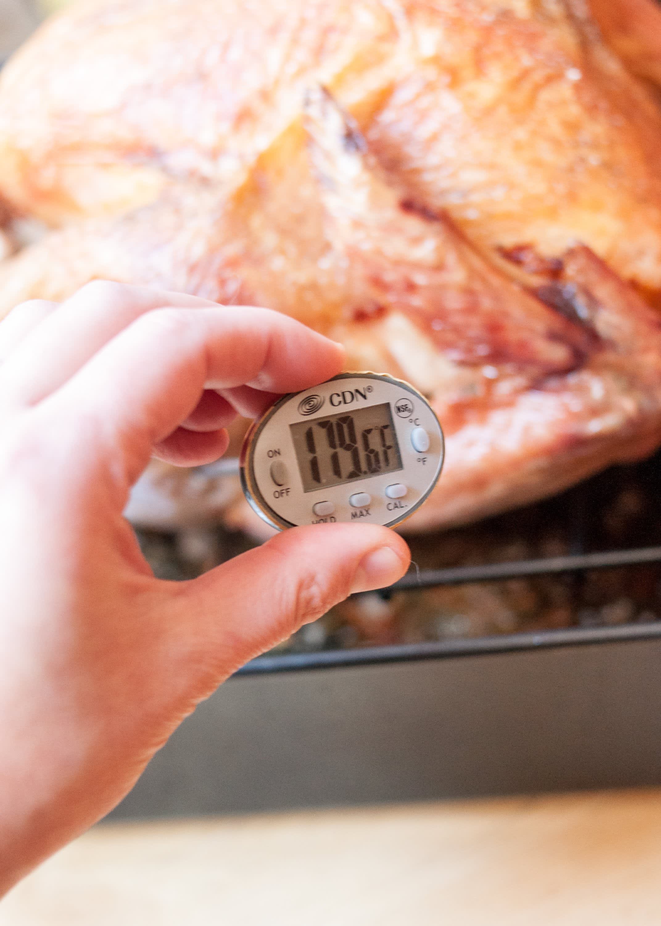 how-to-cook-a-completely-frozen-turkey-for-thanksgiving-kitchn