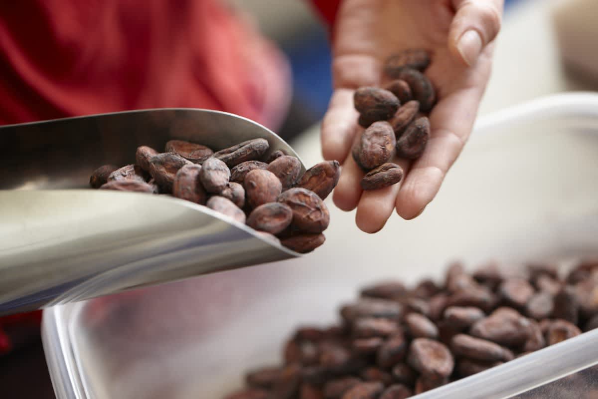 Should You Care If Your Chocolate Is Labeled Bean To Bar Kitchn