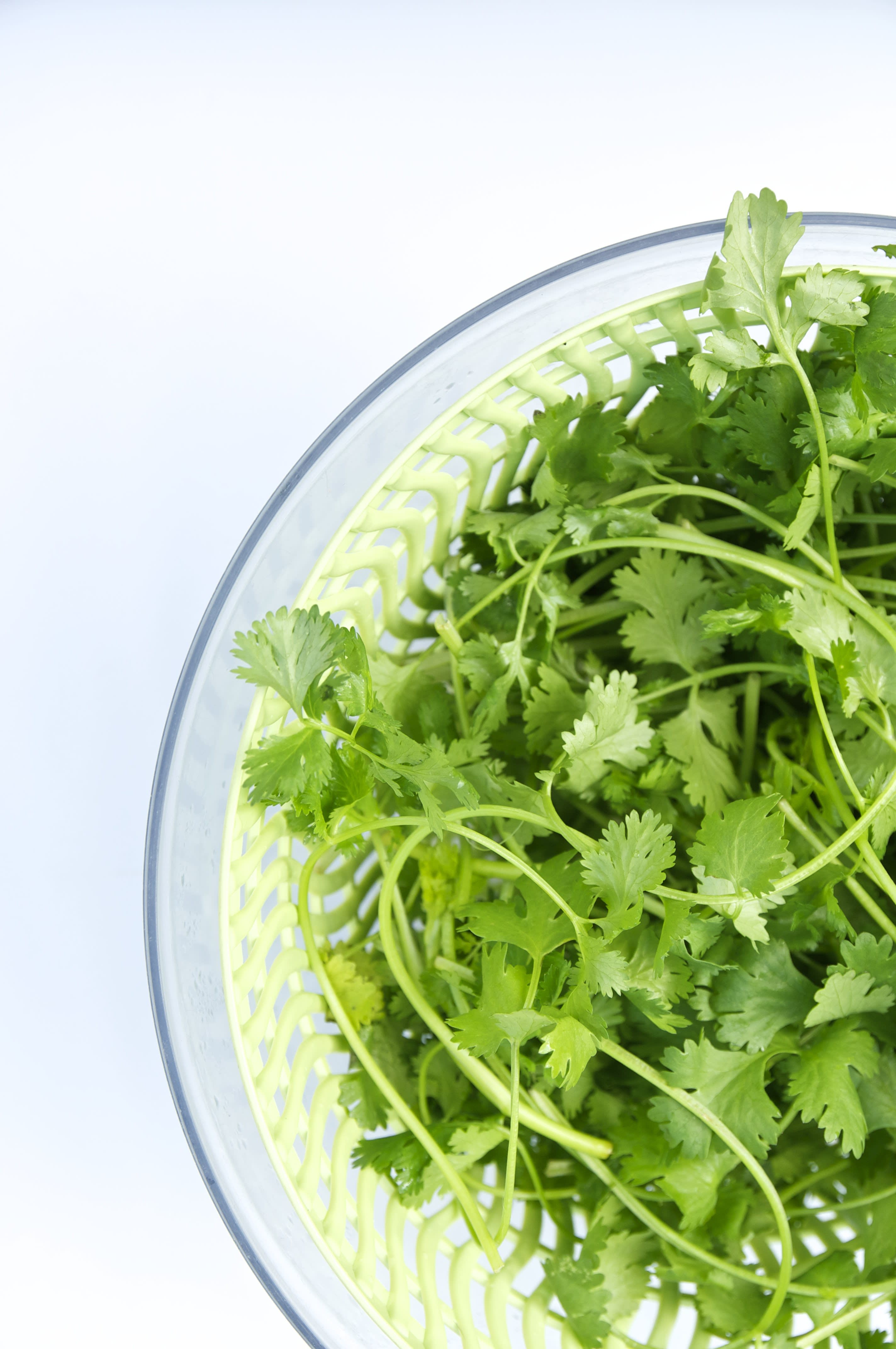 Your Guide to Storing Fresh Herbs in the Fridge Kitchn