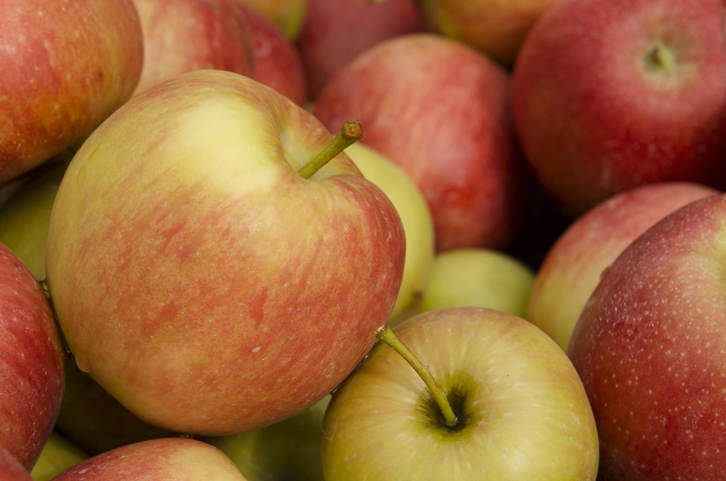 The 5 Best Apples For Baking Kitchn