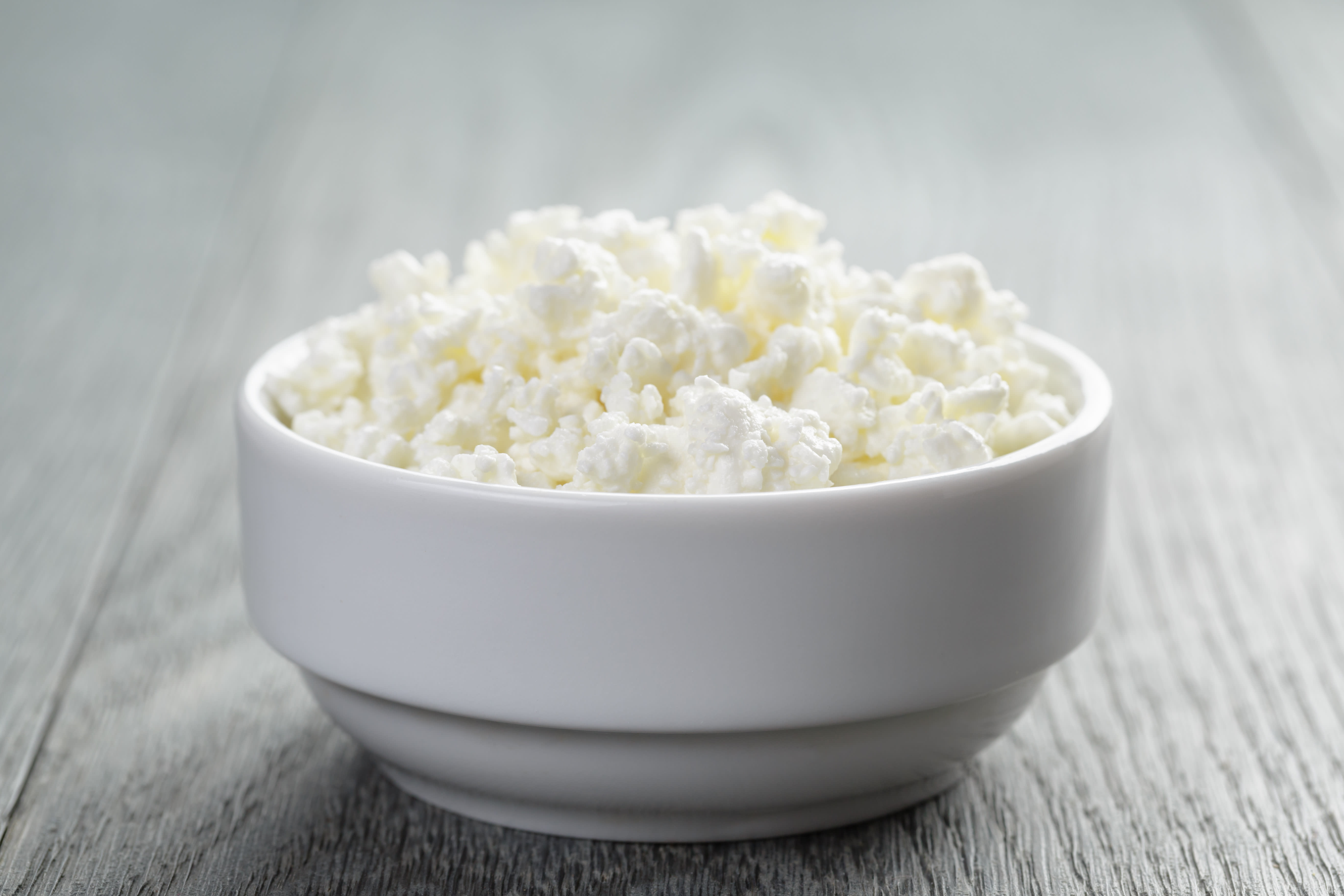 Dish of cottage cheese - Free Stock Image