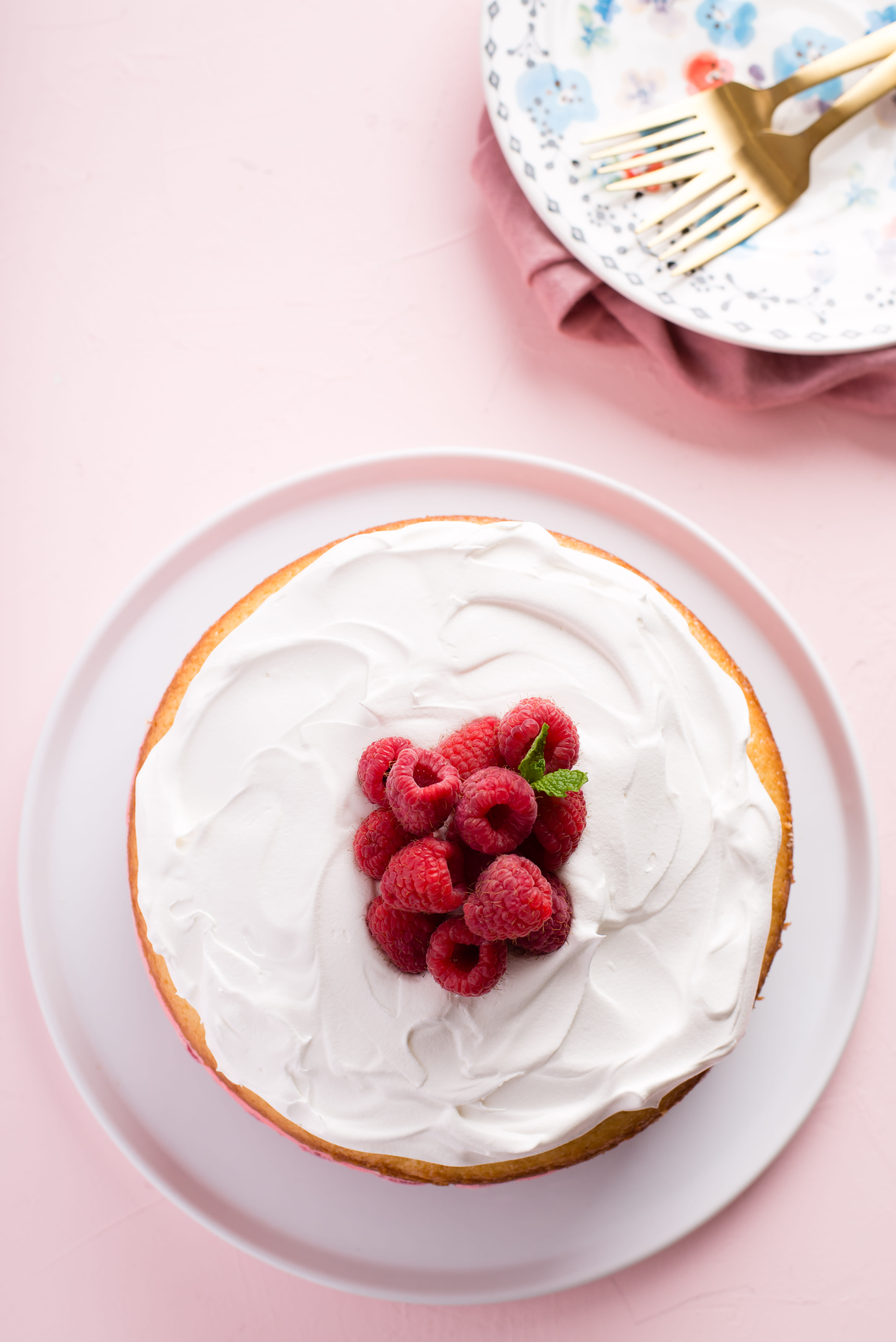 Recipe One Bowl Vanilla Cake Ice Cream Cake Kitchn
