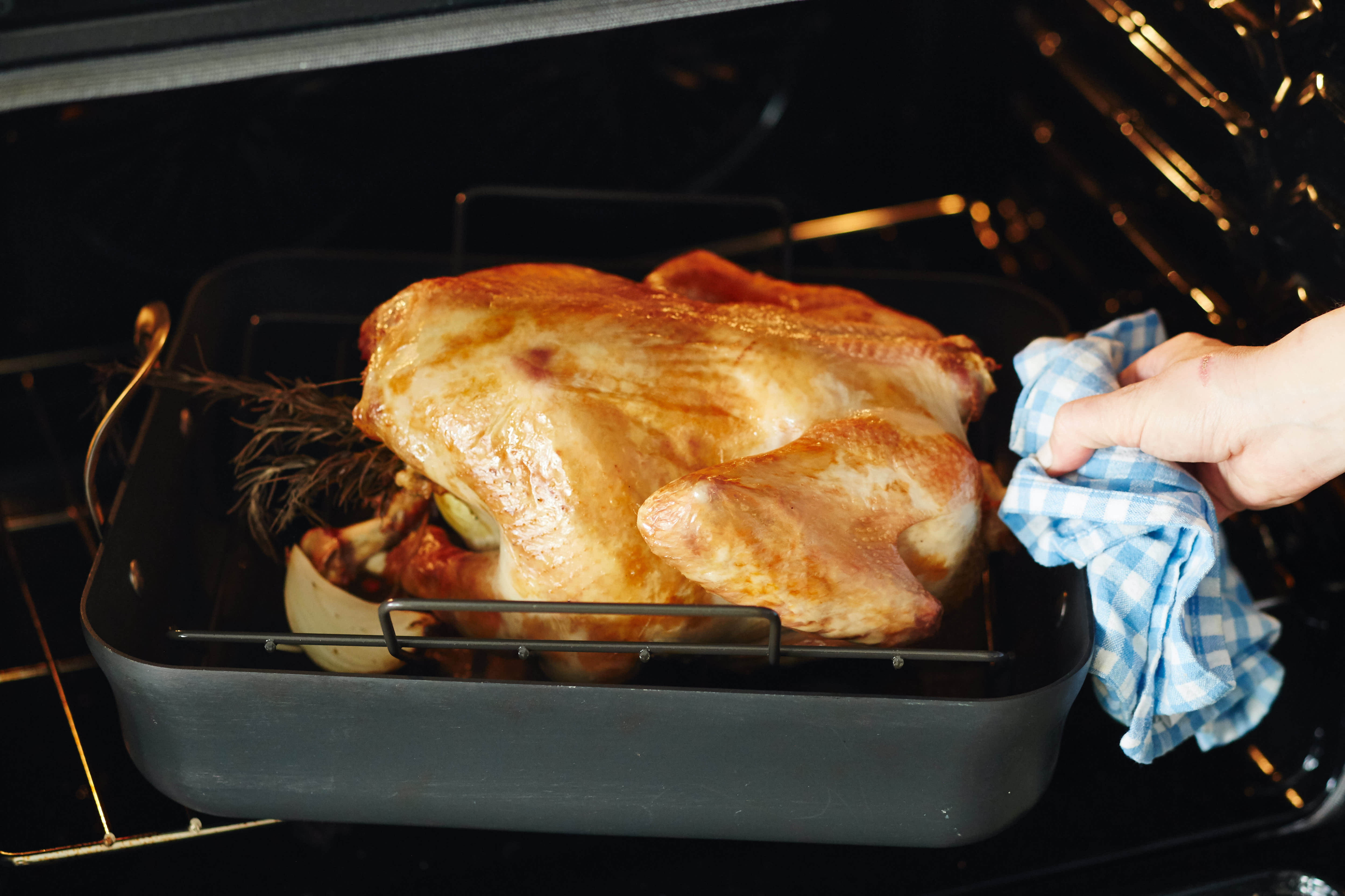 turkey breast side down roasting Breast cancer translational research