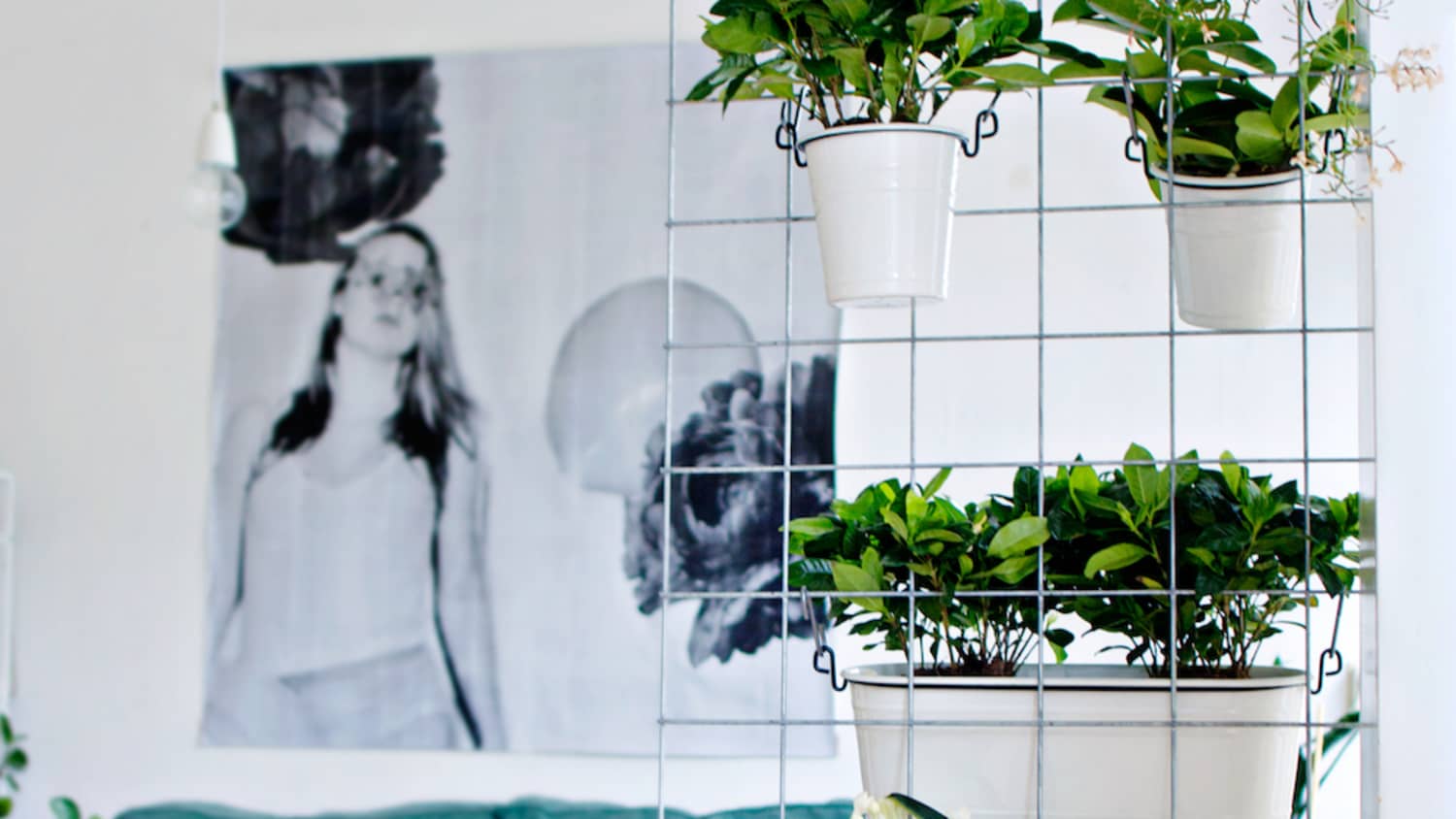 15 Indoor Garden Ideas For Wannabe Gardeners In Small Spaces