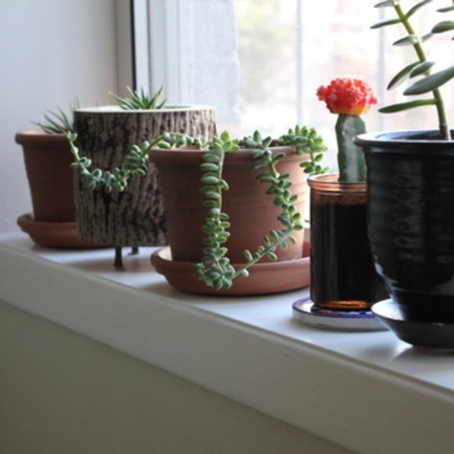 How To Paint Windowsills Window Trim Apartment Therapy