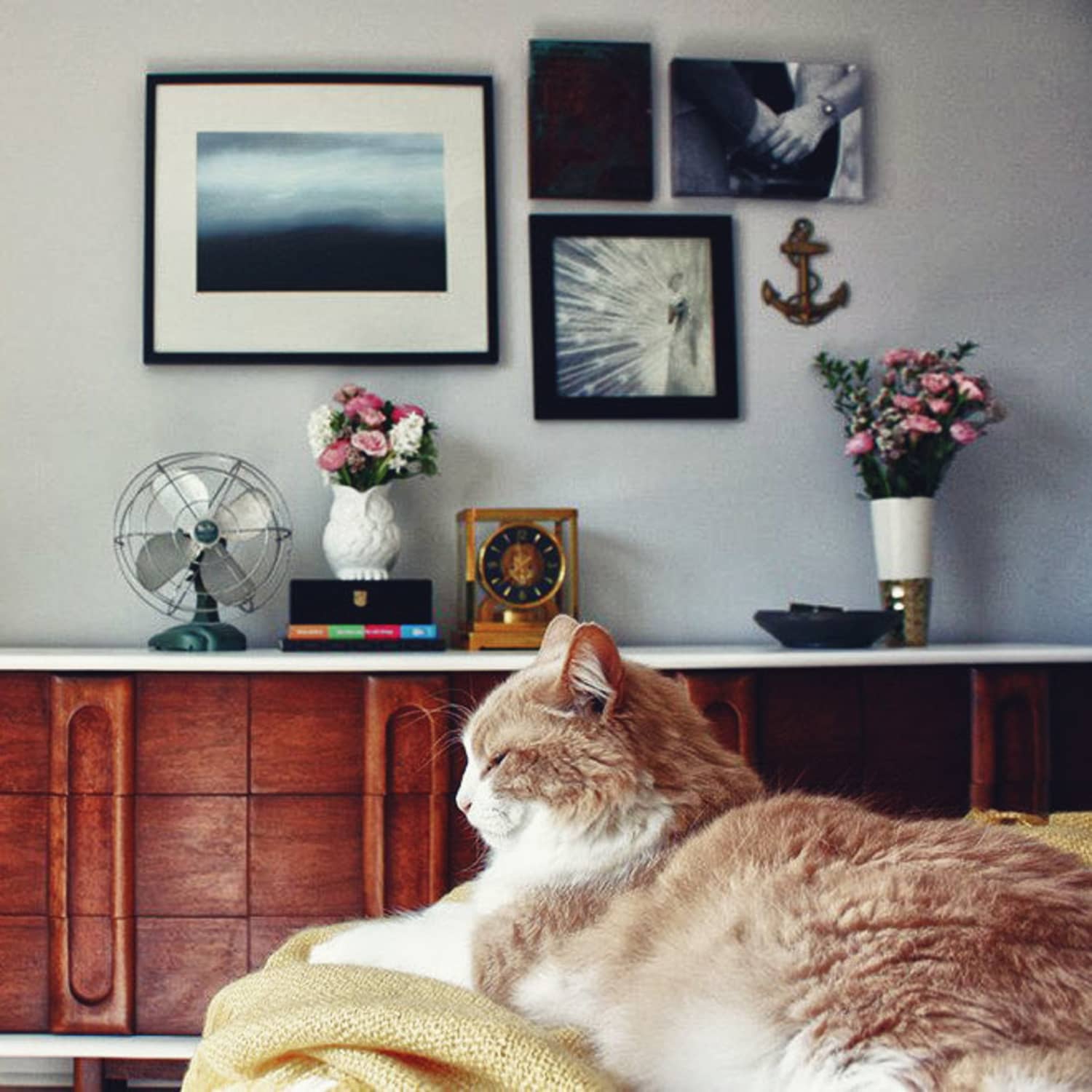 Why You Should Consider An Automated Pet Feeder Apartment Therapy