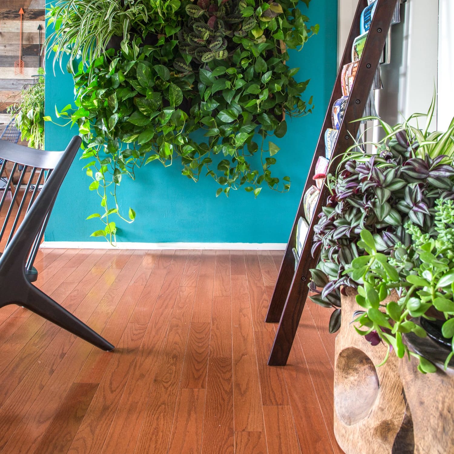 Indoors Or Out Tips For Creating A Vertical Garden