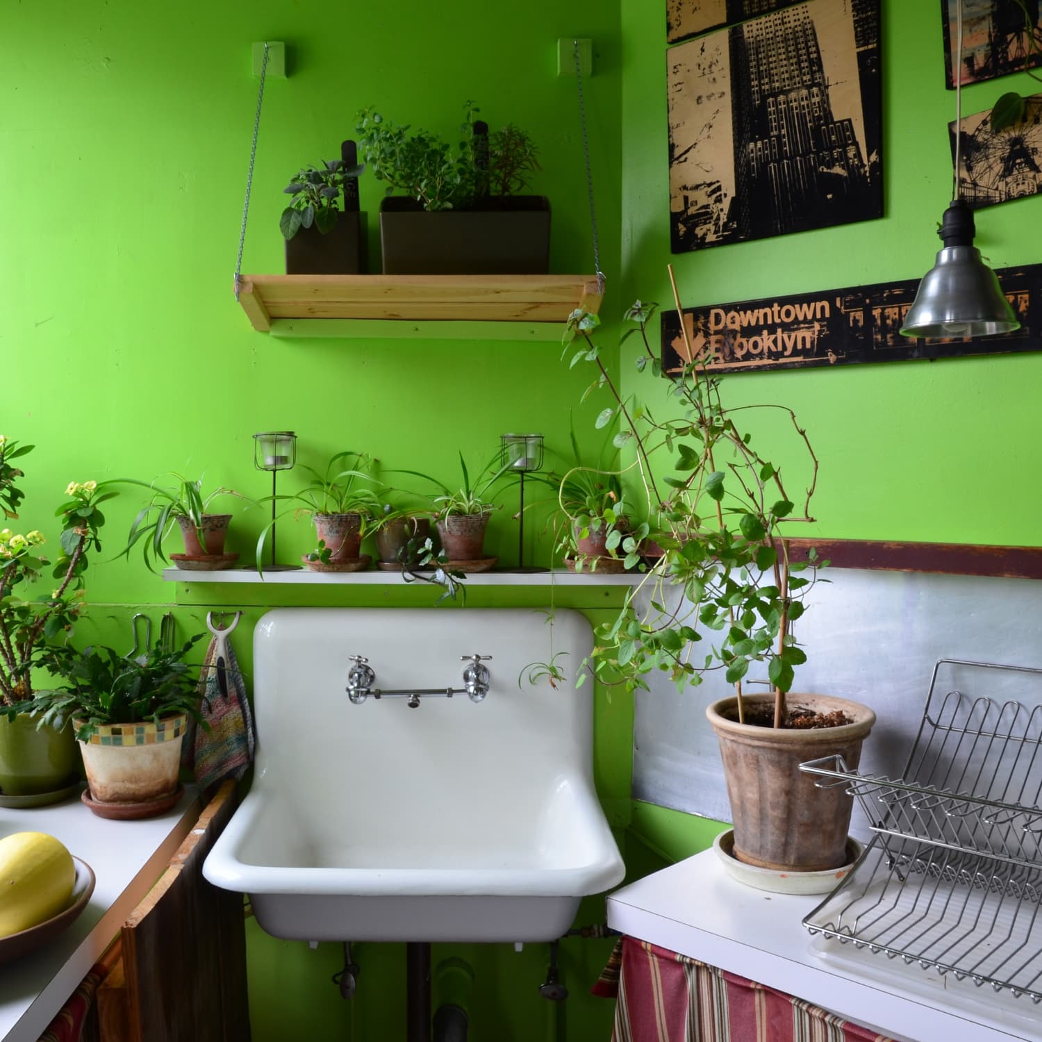 Creative Ways To Make Room For Plants In The Kitchen Apartment