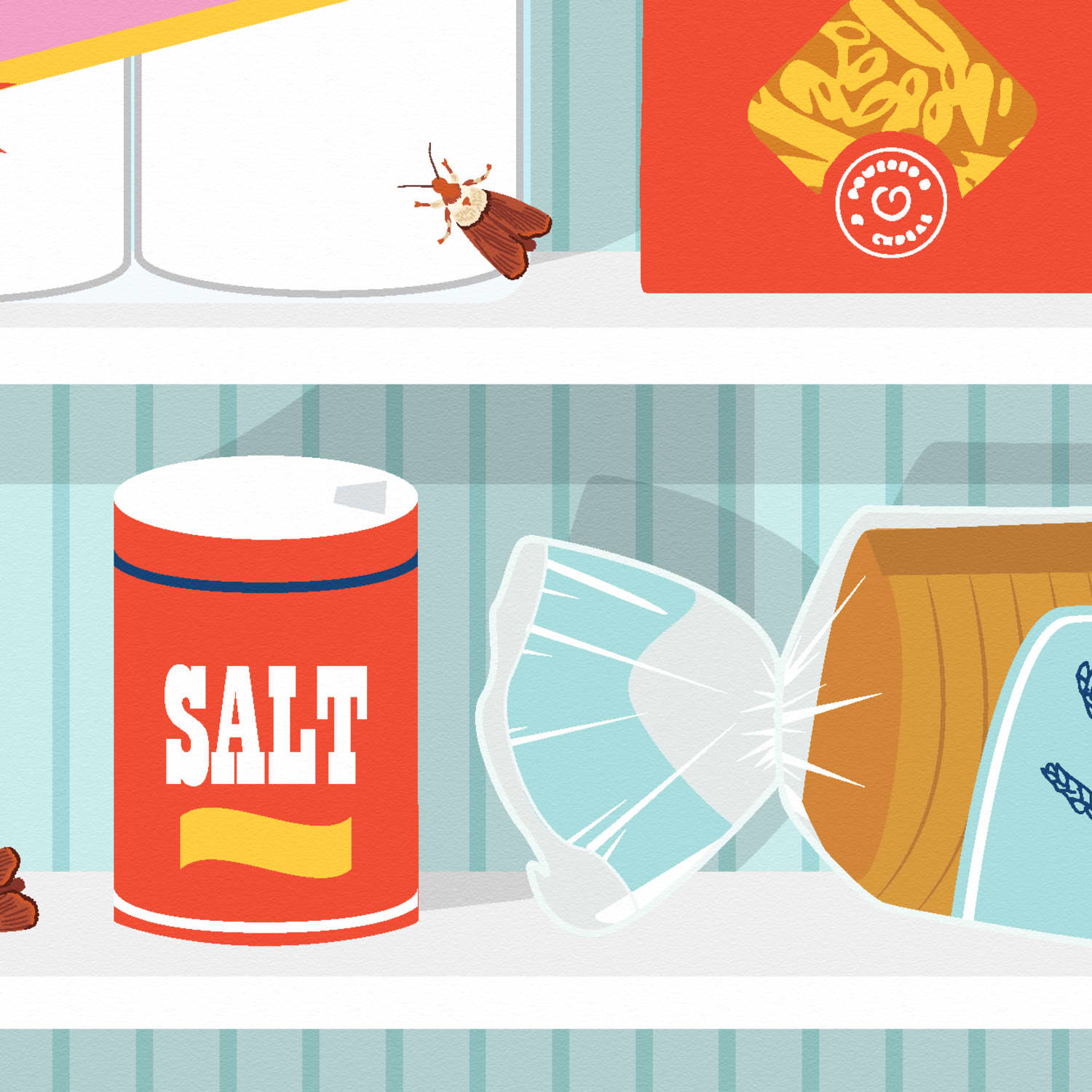 How To Get Rid Of Pantry Moths Apartment Therapy