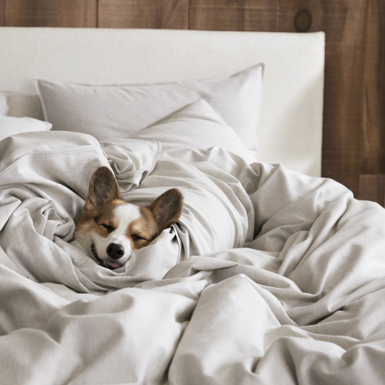 We Reviewed Brooklinen S New Cashmere Sheets Apartment Therapy