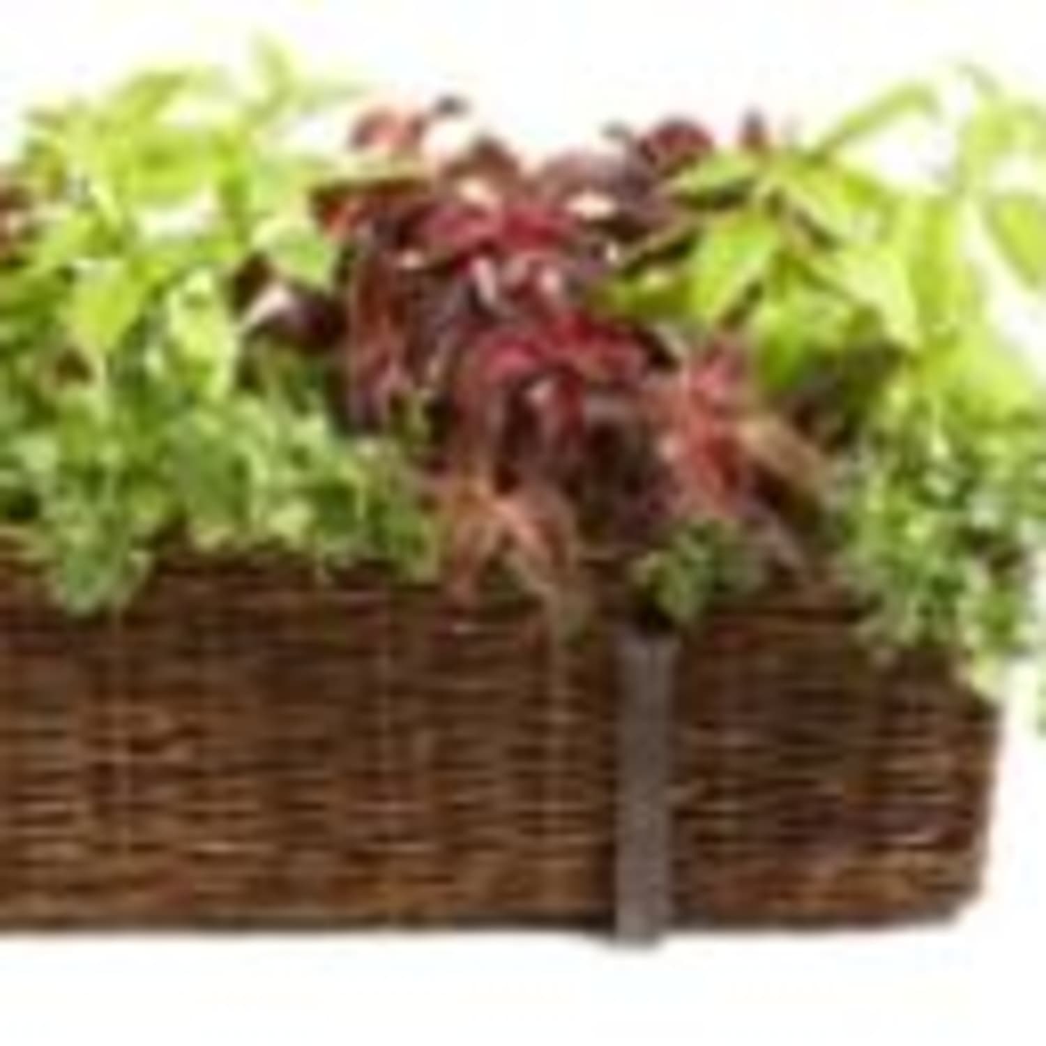 Window Box Sale At Smith Hawken Kitchn - 
