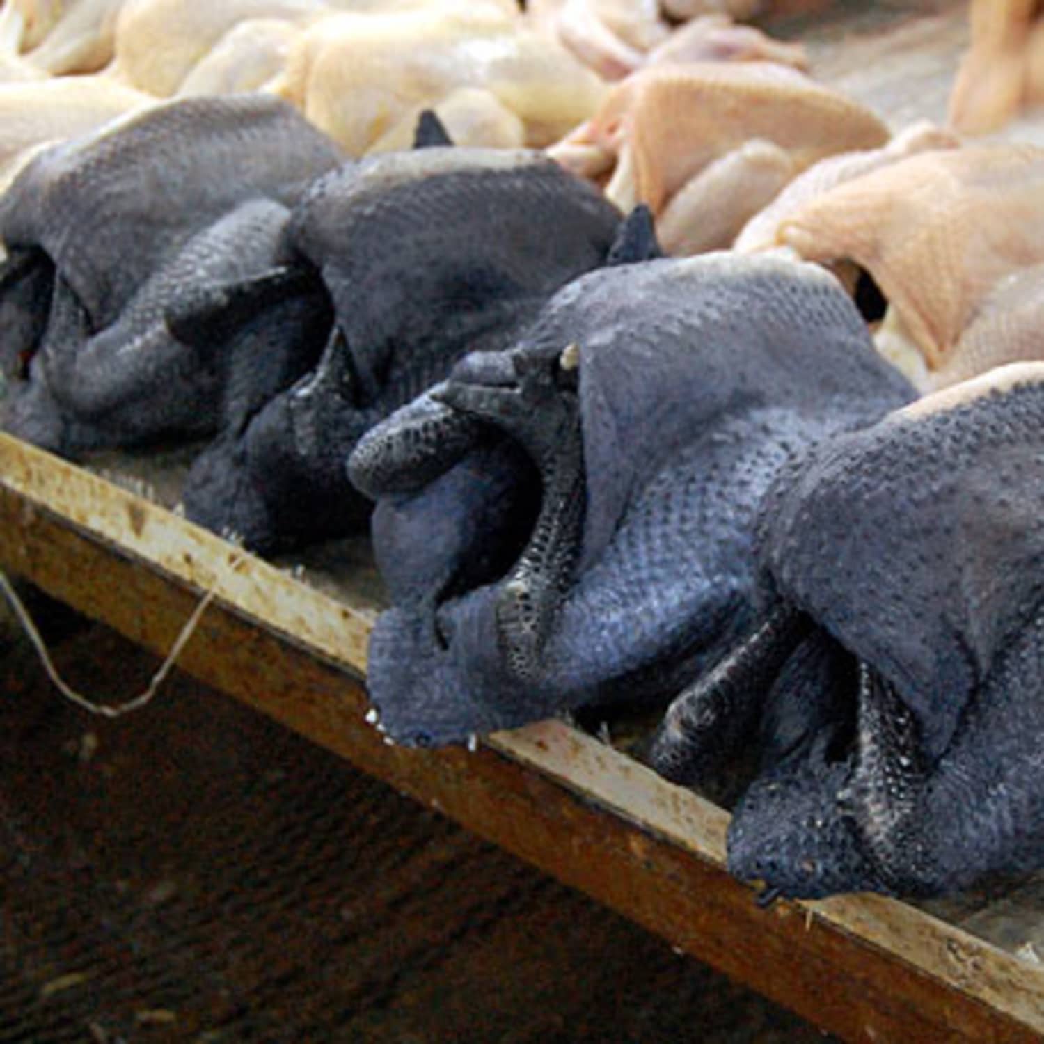 Whats The Deal With Black Chickens Kitchn