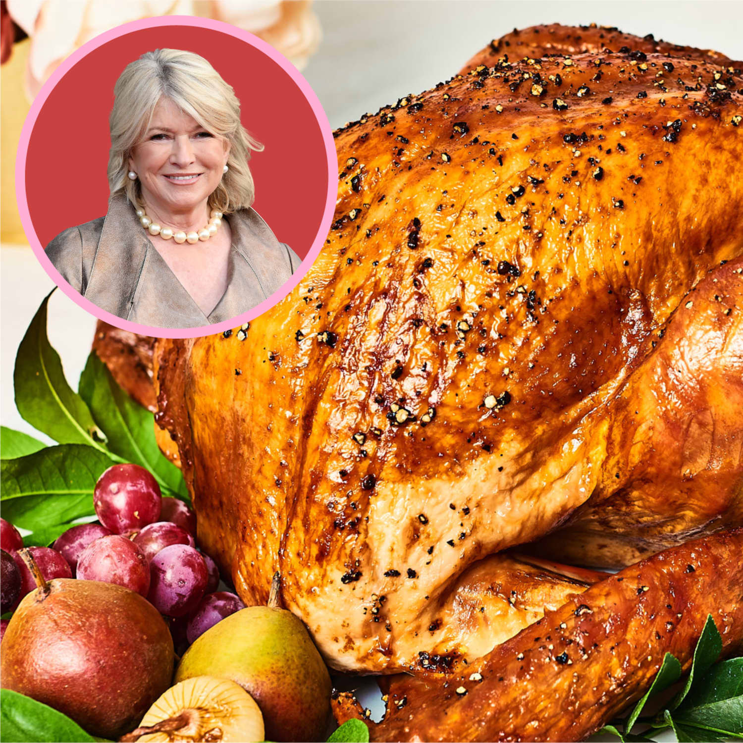 I Tried Martha Stewart S Perfect Roast Turkey And Brine Kitchn