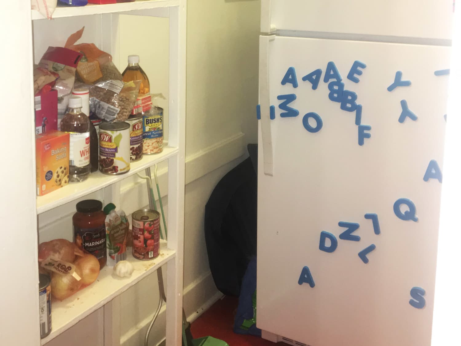 Dollar Store Pantry Organizer Tips Apartment Therapy