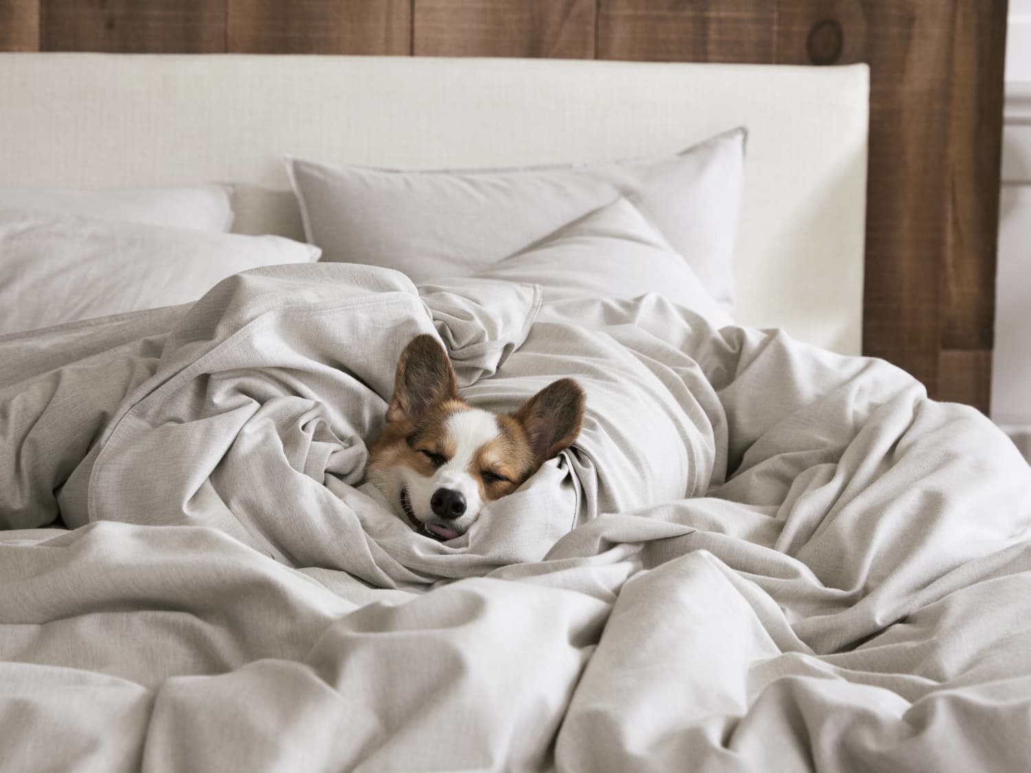 We Reviewed Brooklinen S New Cashmere Sheets Apartment Therapy