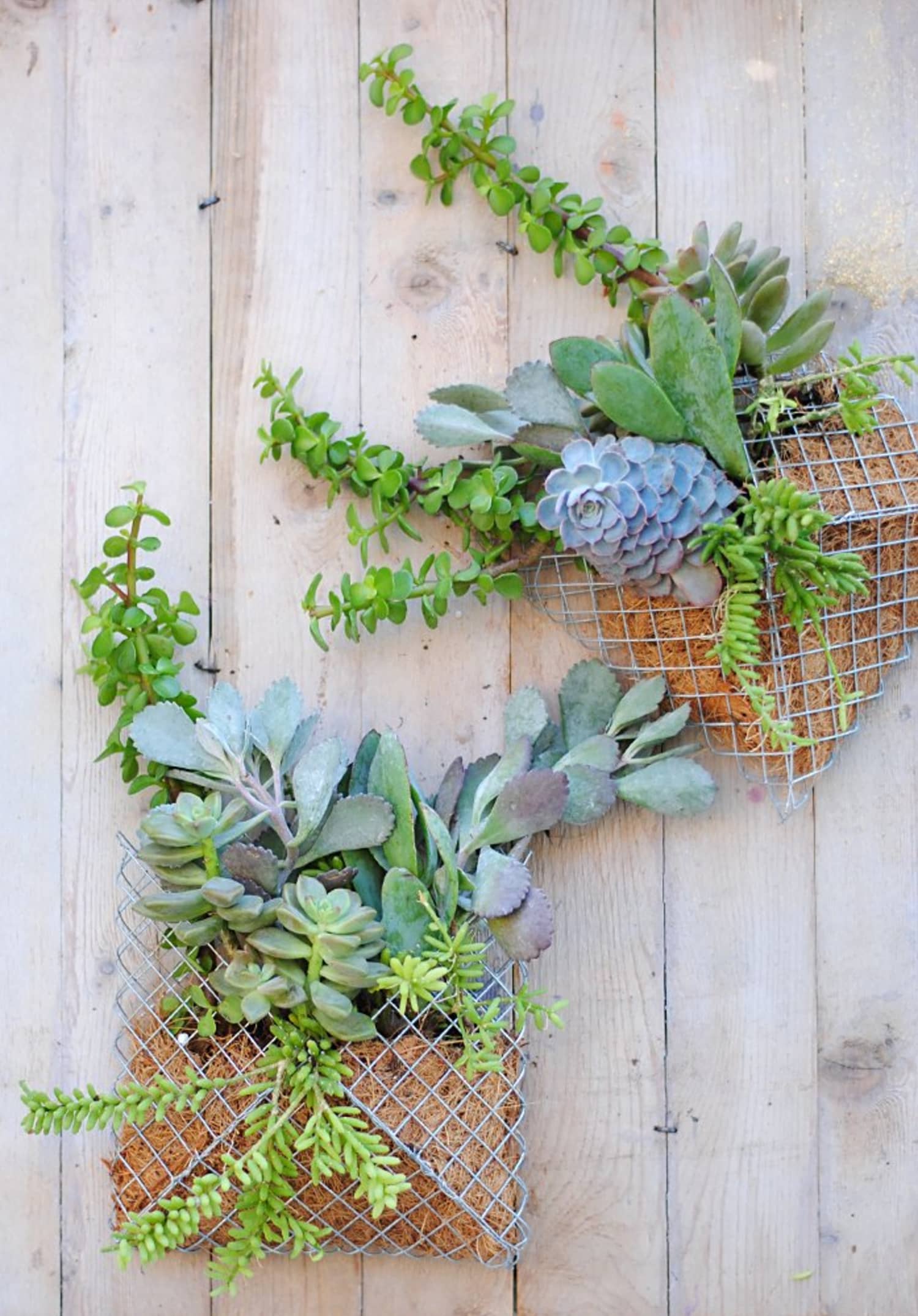 Easy DIY Project: How to Make a Pocket Wall Planter
